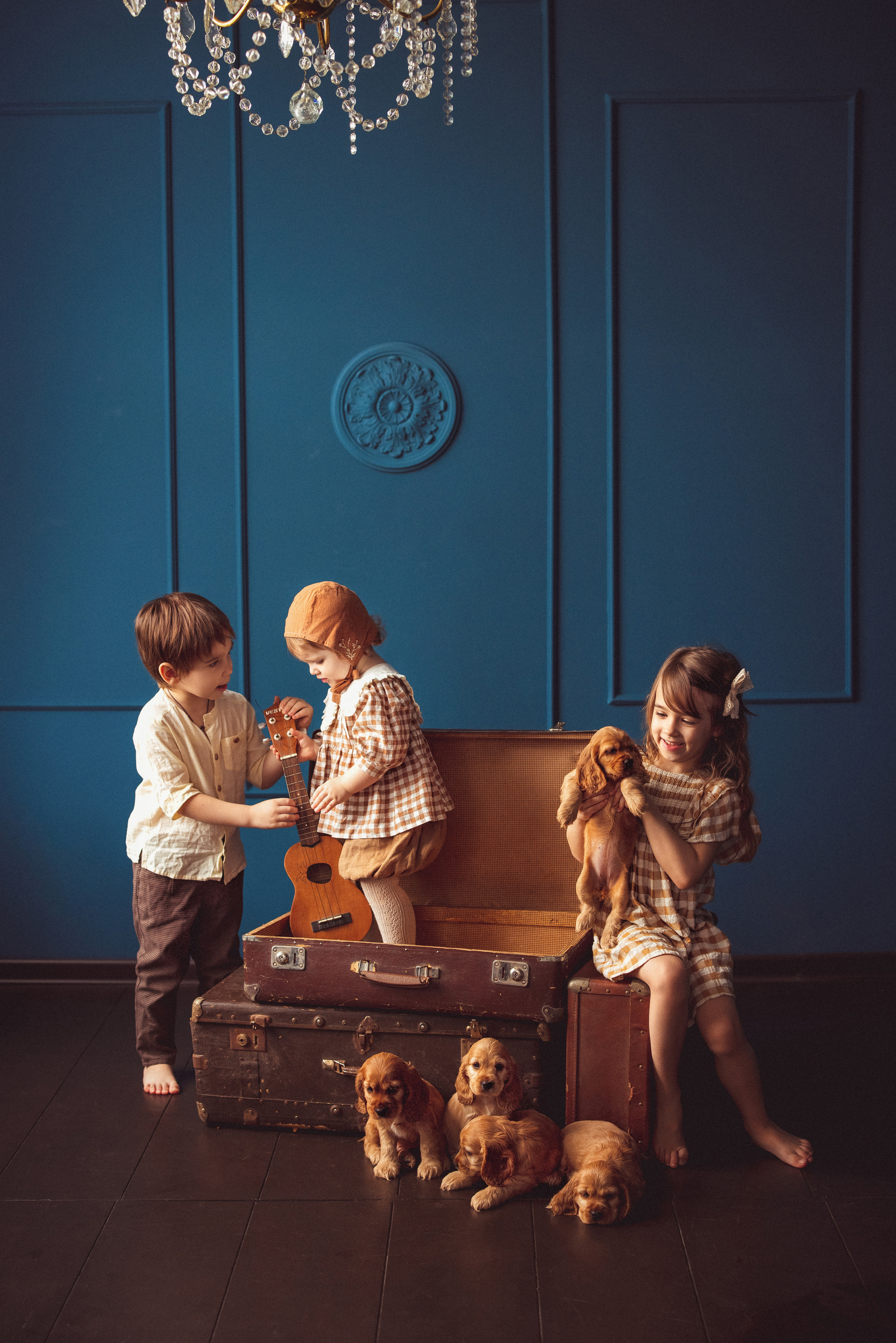 ЩЕНКИ (Кокер — спаниель). Семейный и детский фотограф в Краснодаре Анна Трашкова