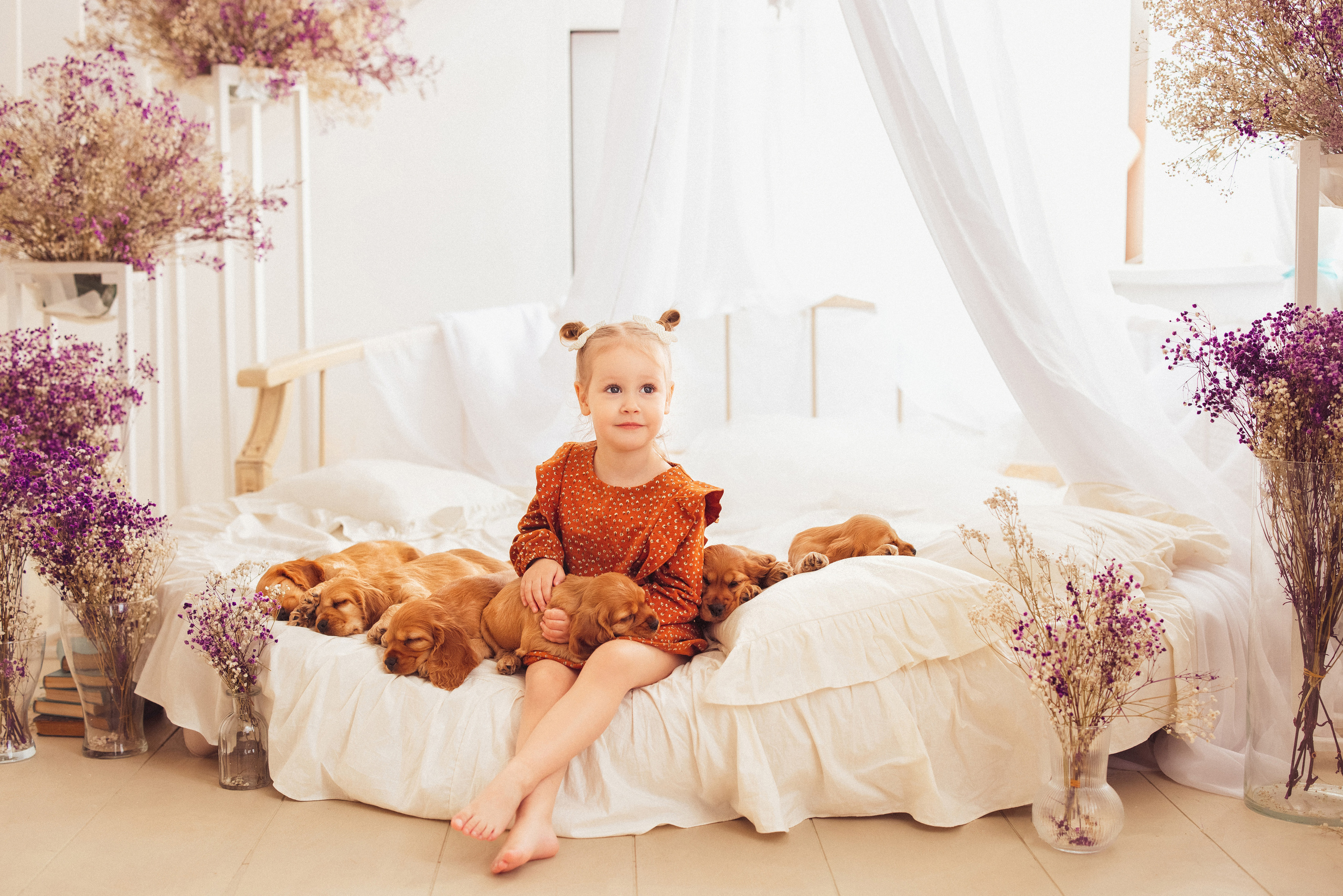 ЩЕНКИ (Кокер — спаниель). Семейный и детский фотограф в Краснодаре Анна Трашкова