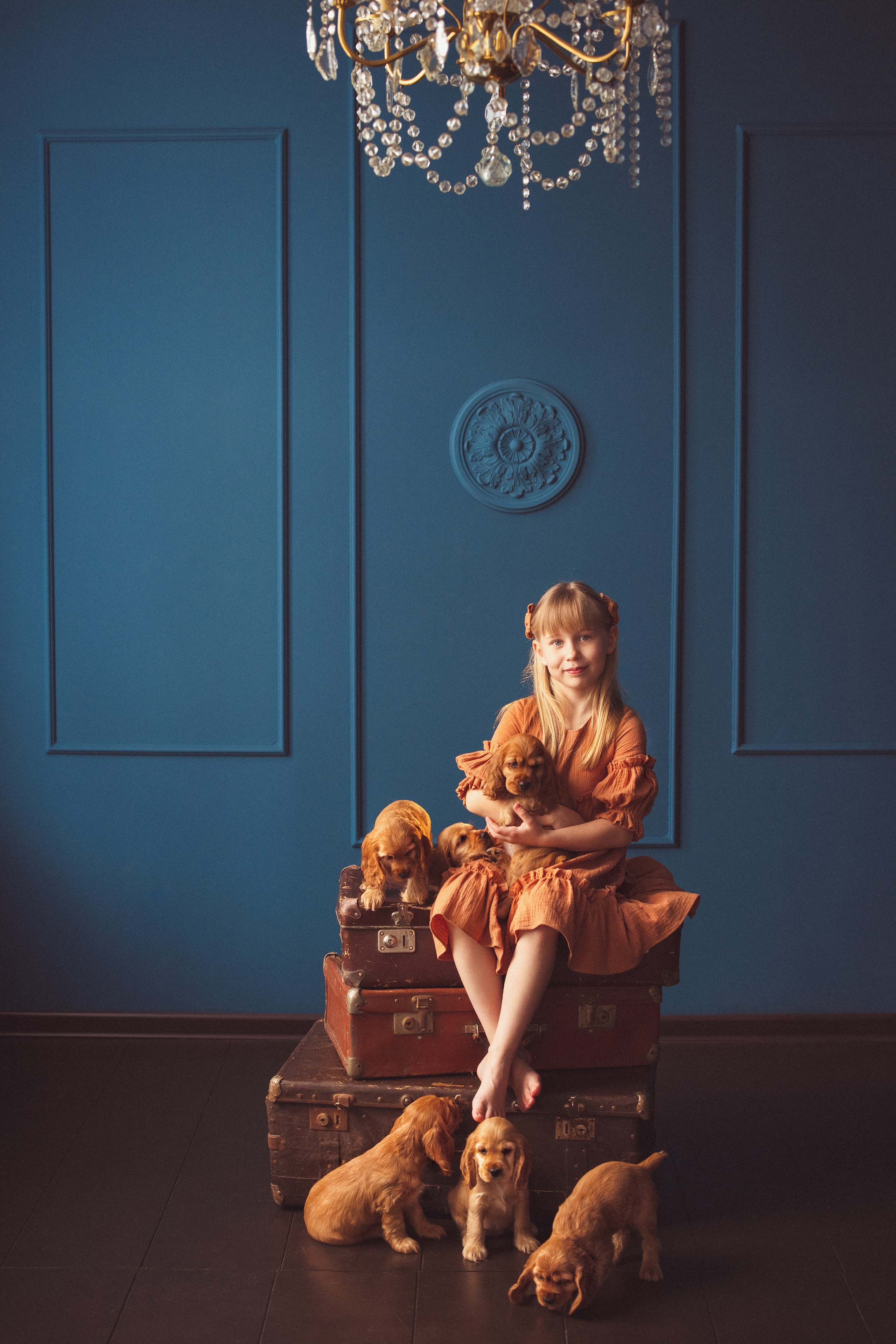 ЩЕНКИ (Кокер — спаниель). Семейный и детский фотограф в Краснодаре Анна Трашкова