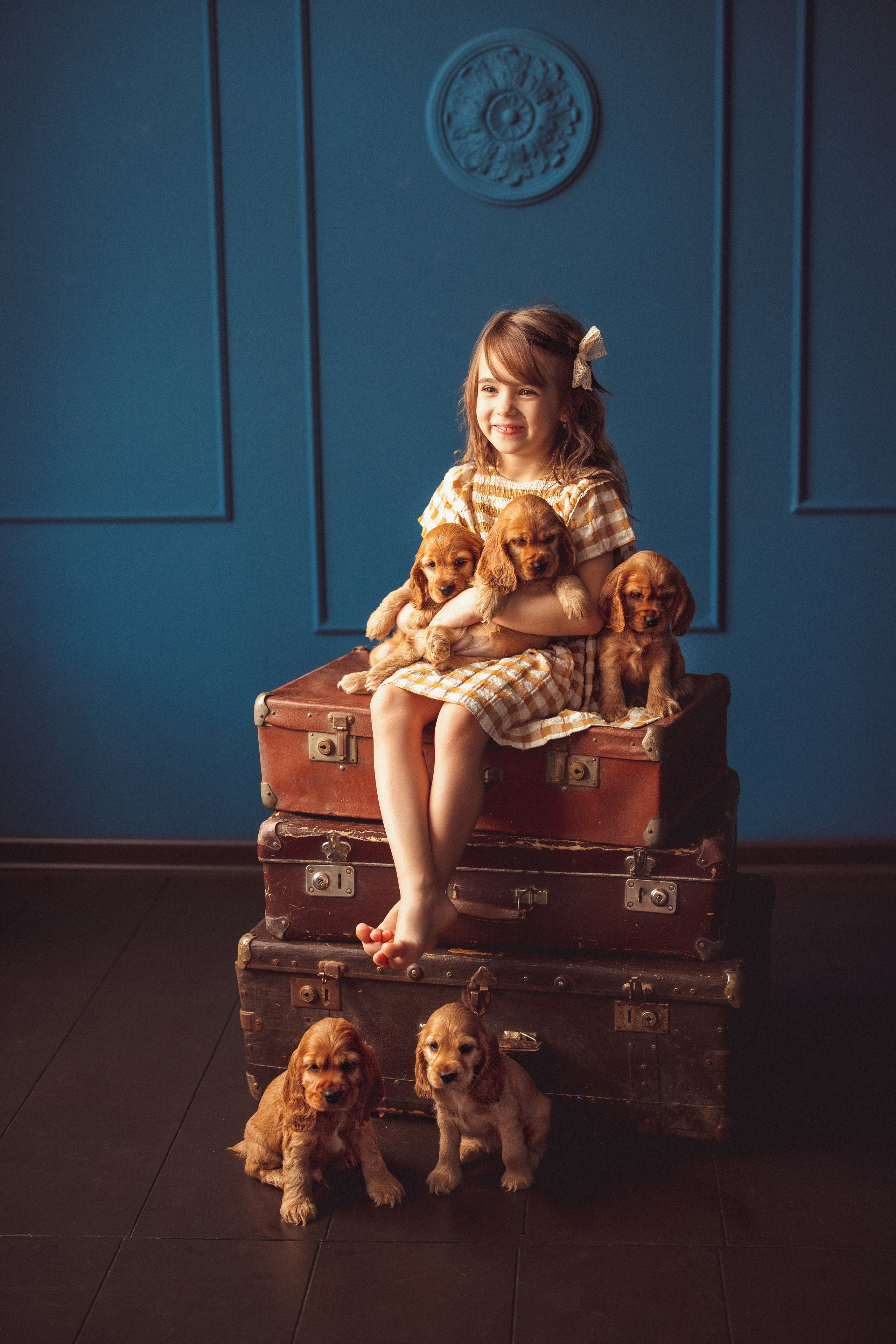 ЩЕНКИ (Кокер — спаниель). Семейный и детский фотограф в Краснодаре Анна Трашкова