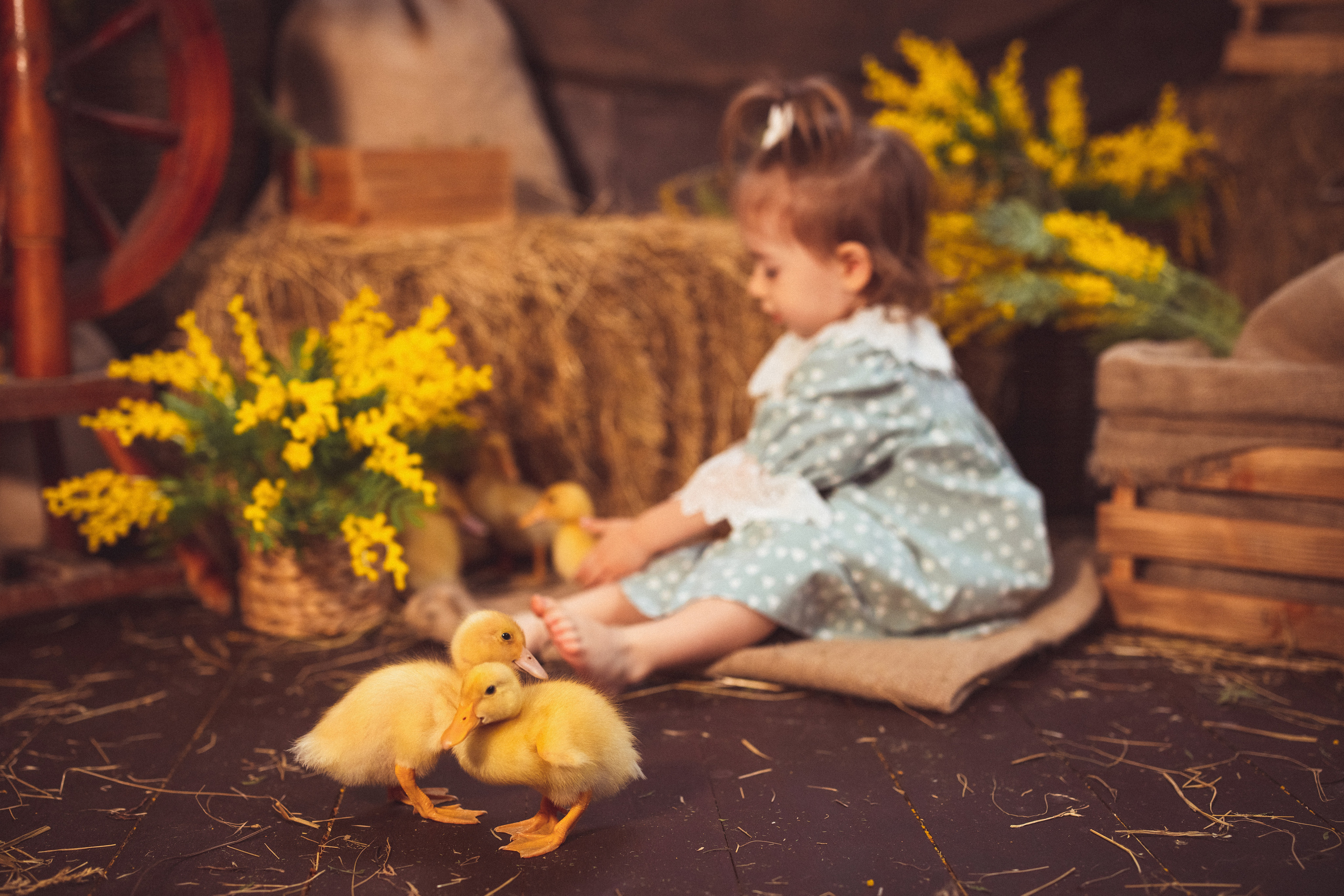 ПАСХА, Фотостудия «Эль» 2023 г. Семейный и детский фотограф в Краснодаре Анна Трашкова