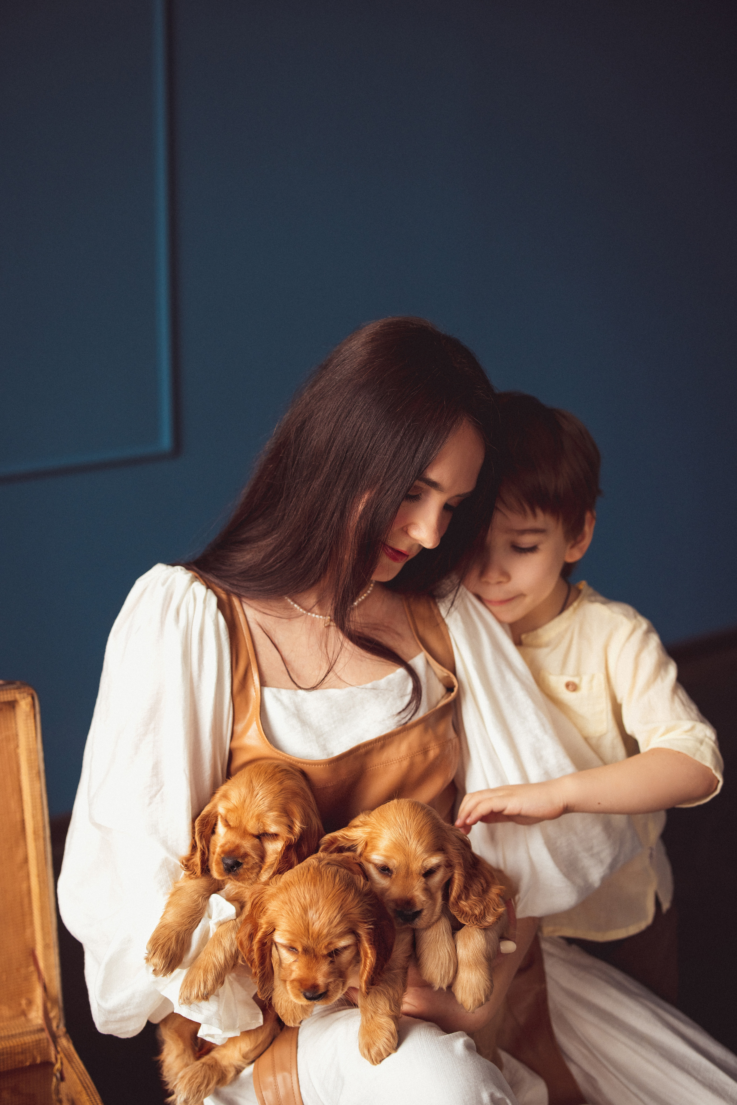 ЩЕНКИ (Кокер — спаниель). Семейный и детский фотограф в Краснодаре Анна Трашкова