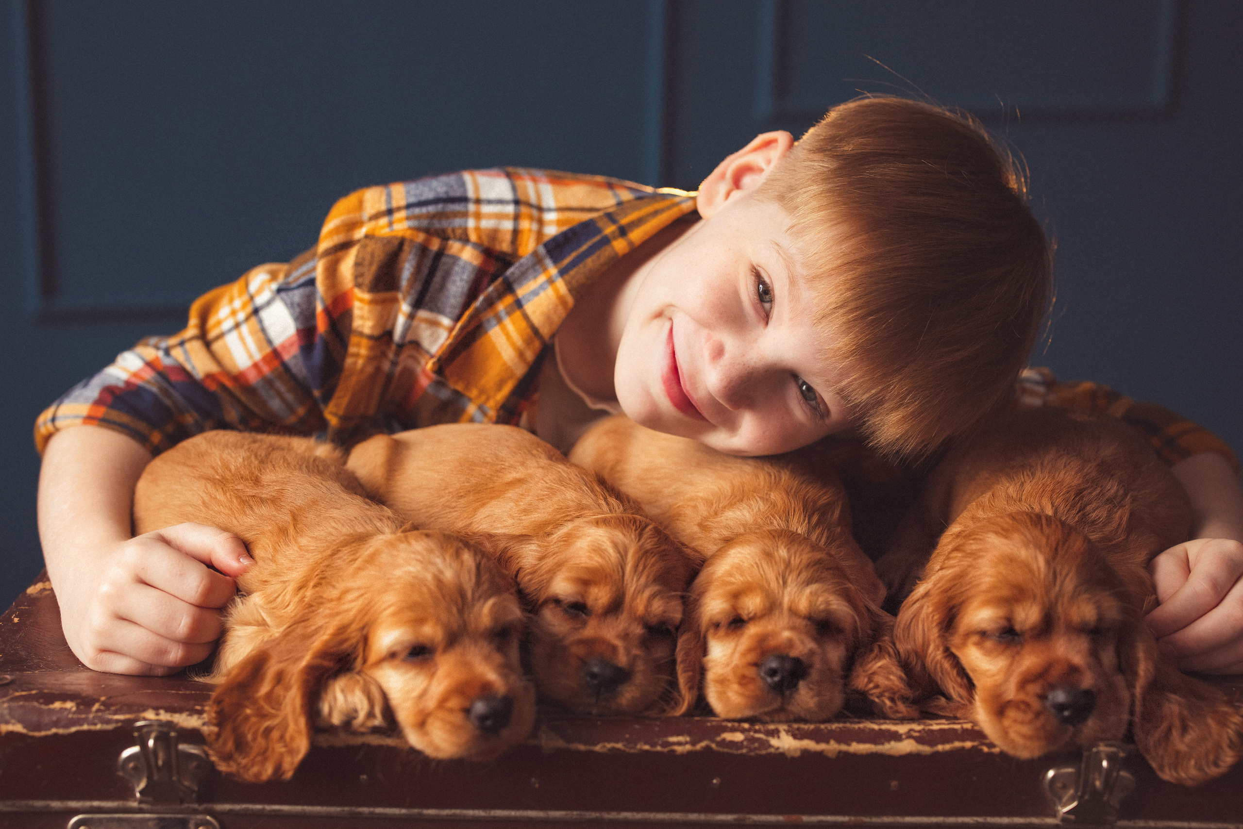 ЩЕНКИ (Кокер — спаниель). Семейный и детский фотограф в Краснодаре Анна Трашкова