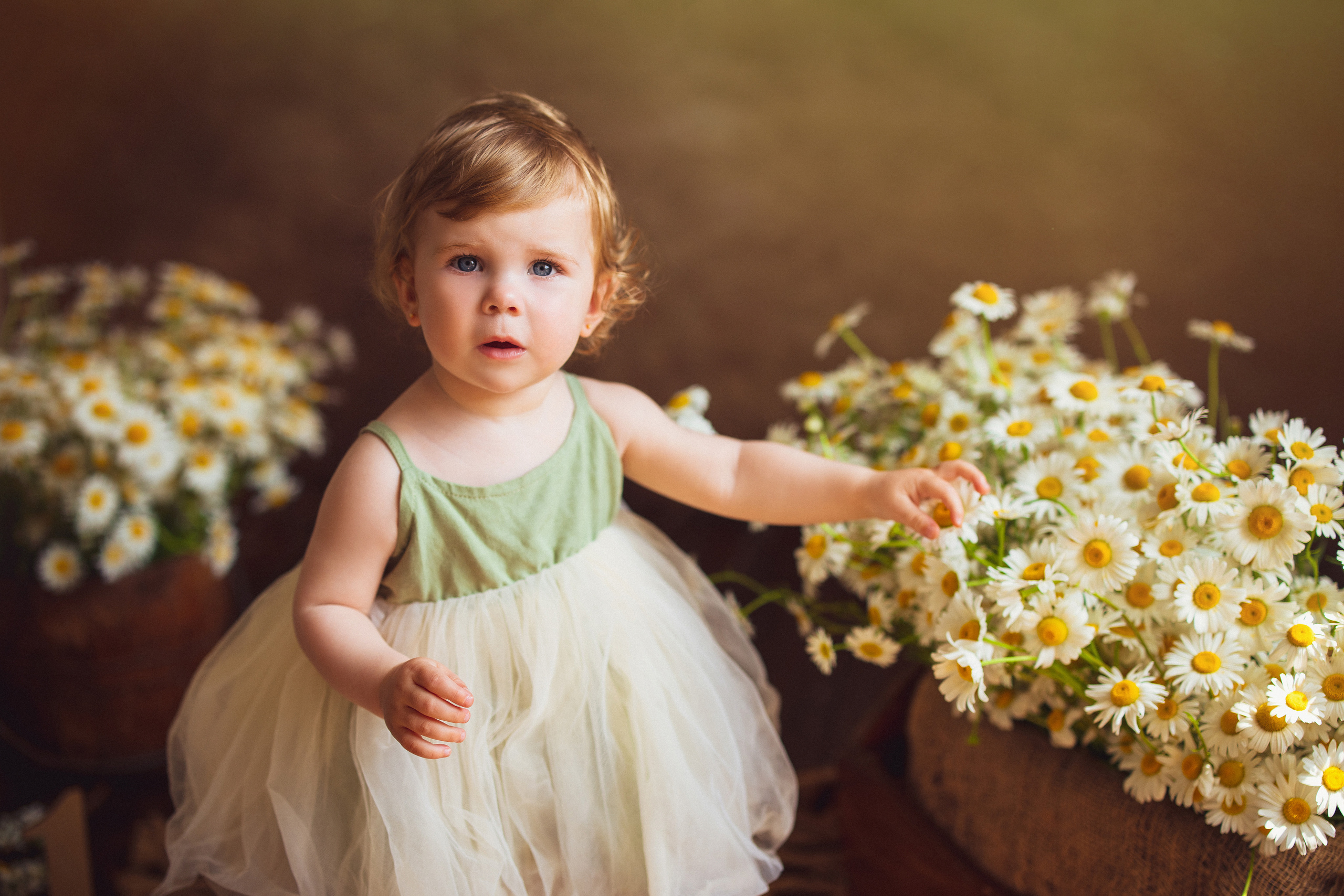 Ромашки, Фотостудия «АНТУРАЖ». Семейный и детский фотограф в Краснодаре Анна Трашкова