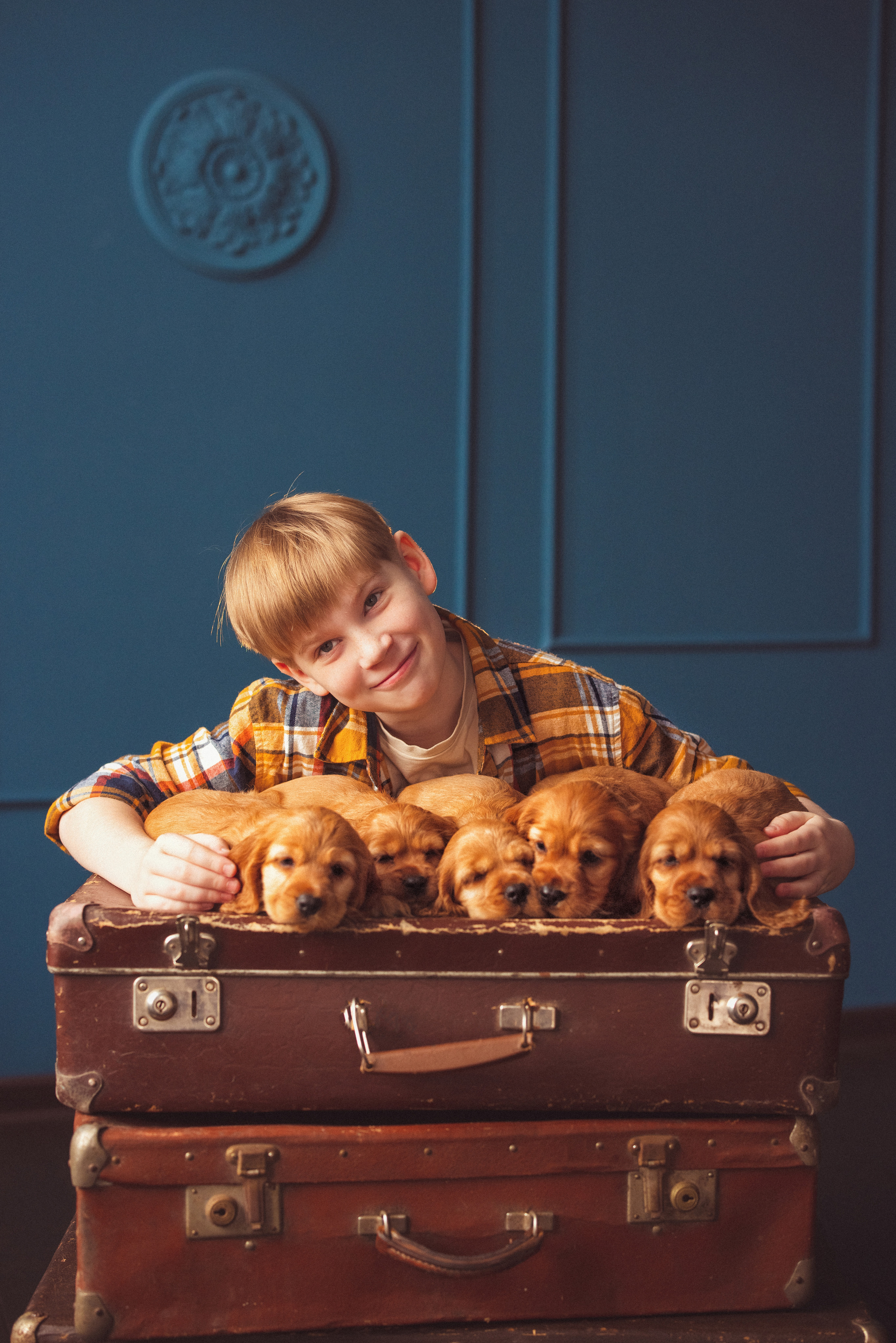 ЩЕНКИ (Кокер — спаниель). Семейный и детский фотограф в Краснодаре Анна Трашкова