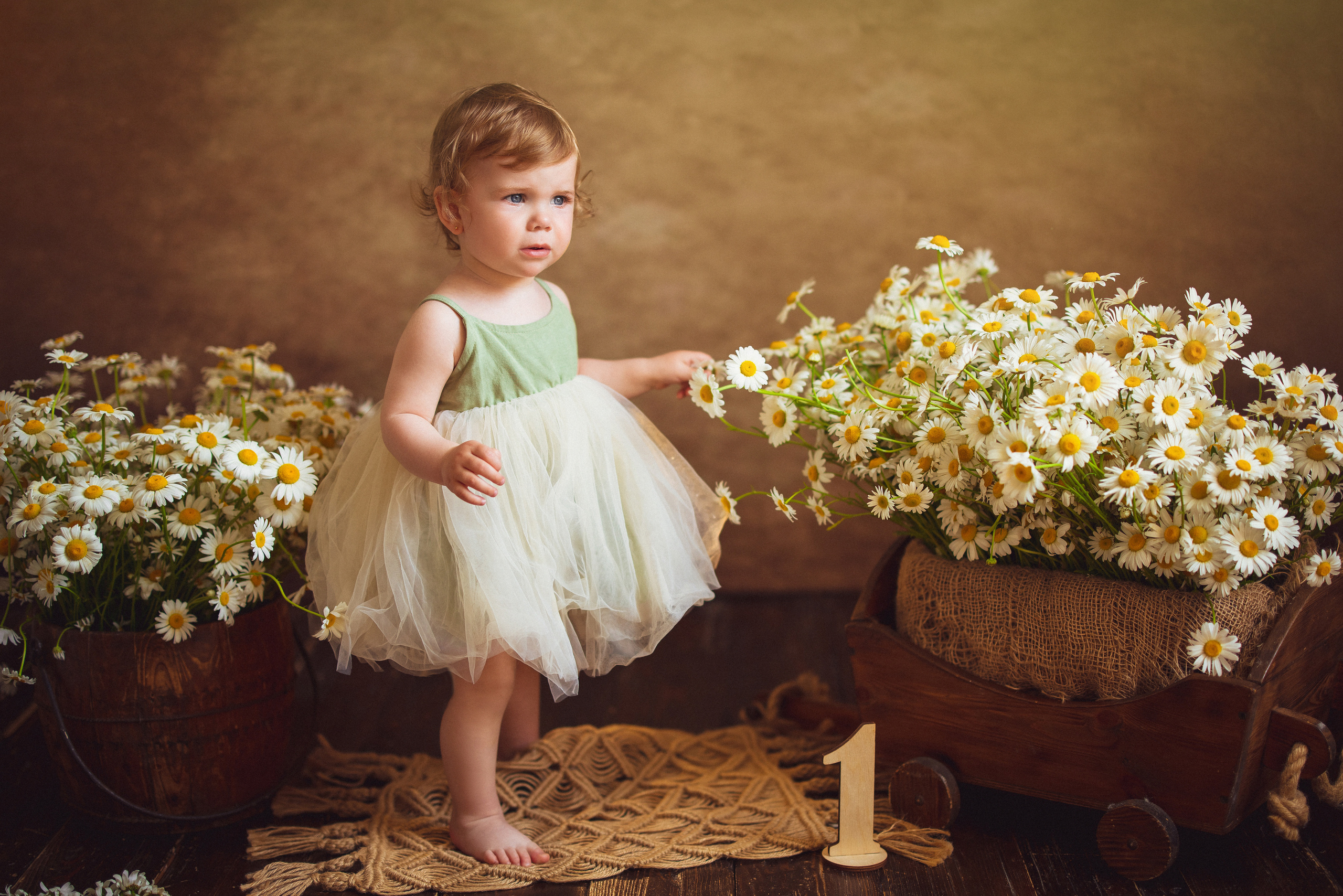 Ромашки, Фотостудия «АНТУРАЖ». Семейный и детский фотограф в Краснодаре Анна Трашкова