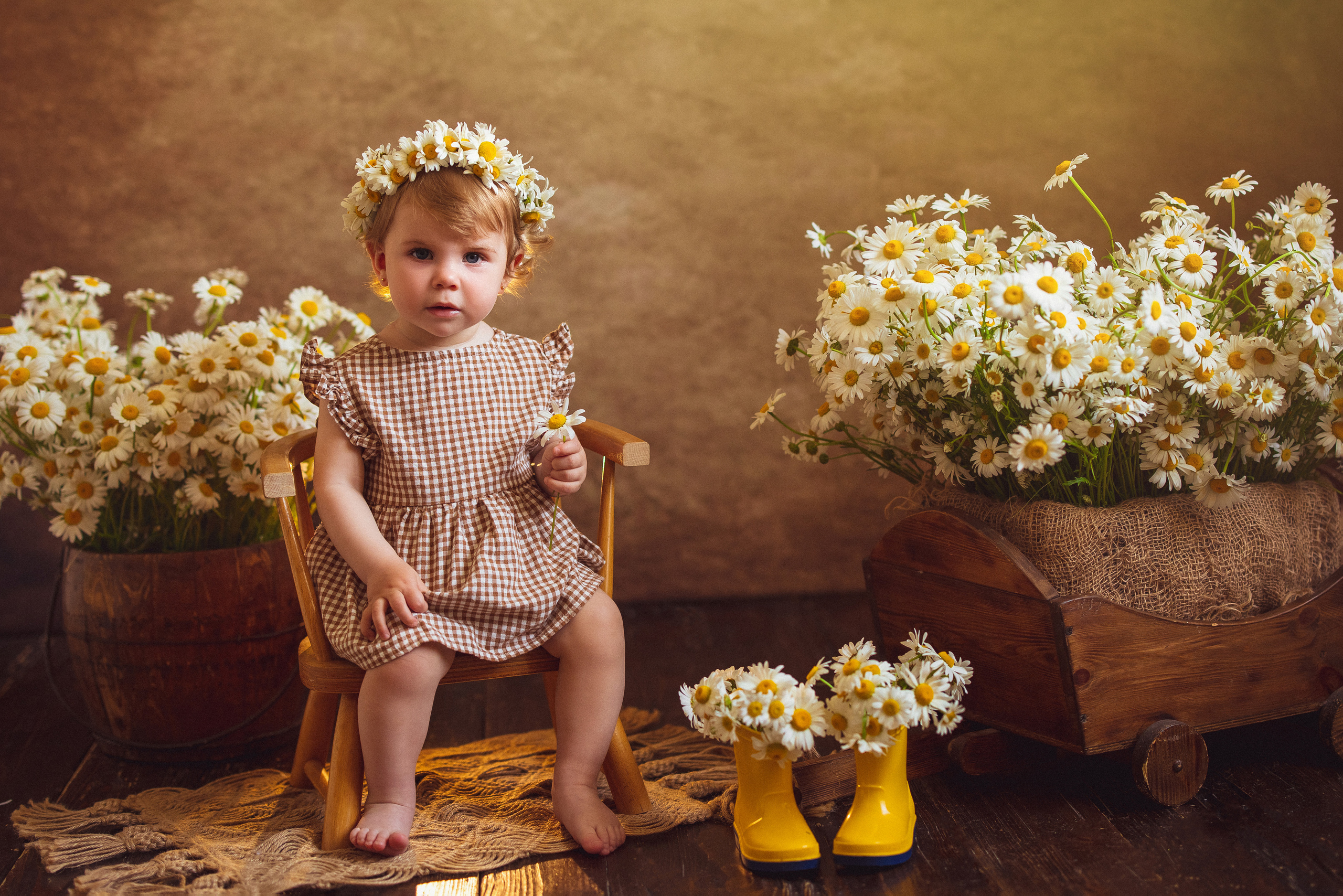Ромашки, Фотостудия «АНТУРАЖ». Семейный и детский фотограф в Краснодаре Анна Трашкова