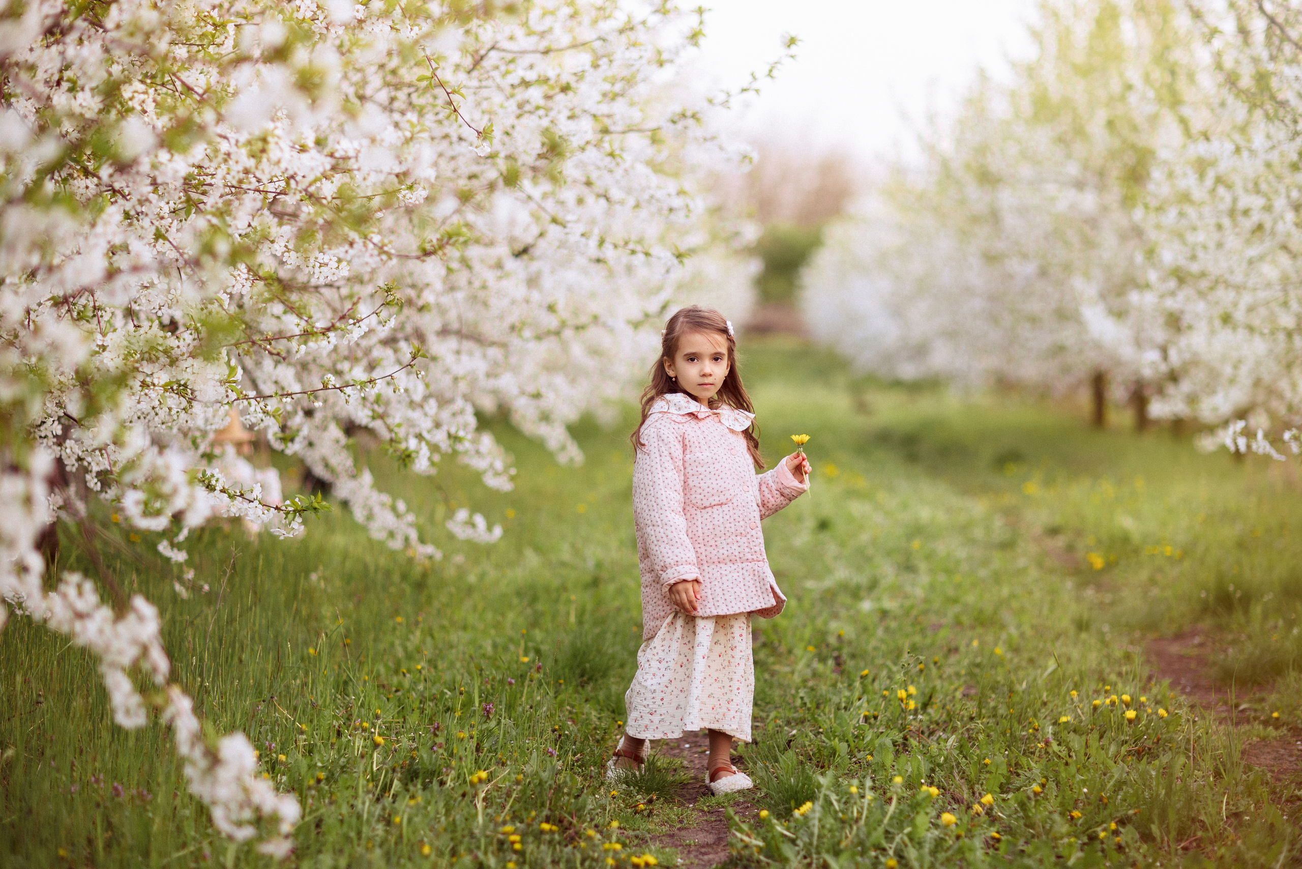 Фотосессия в цветущем саду, Краснодар. Семейный и детский фотограф в Краснодаре Анна Трашкова