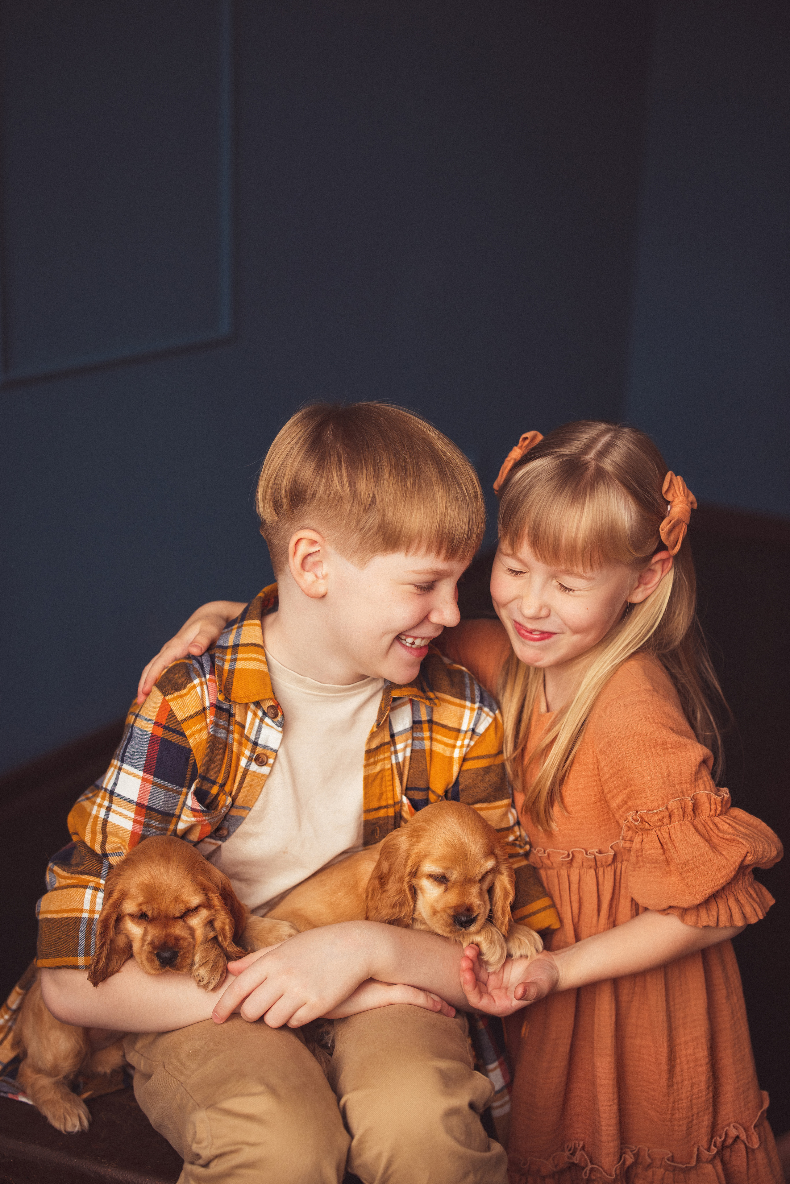 ЩЕНКИ (Кокер — спаниель). Семейный и детский фотограф в Краснодаре Анна Трашкова