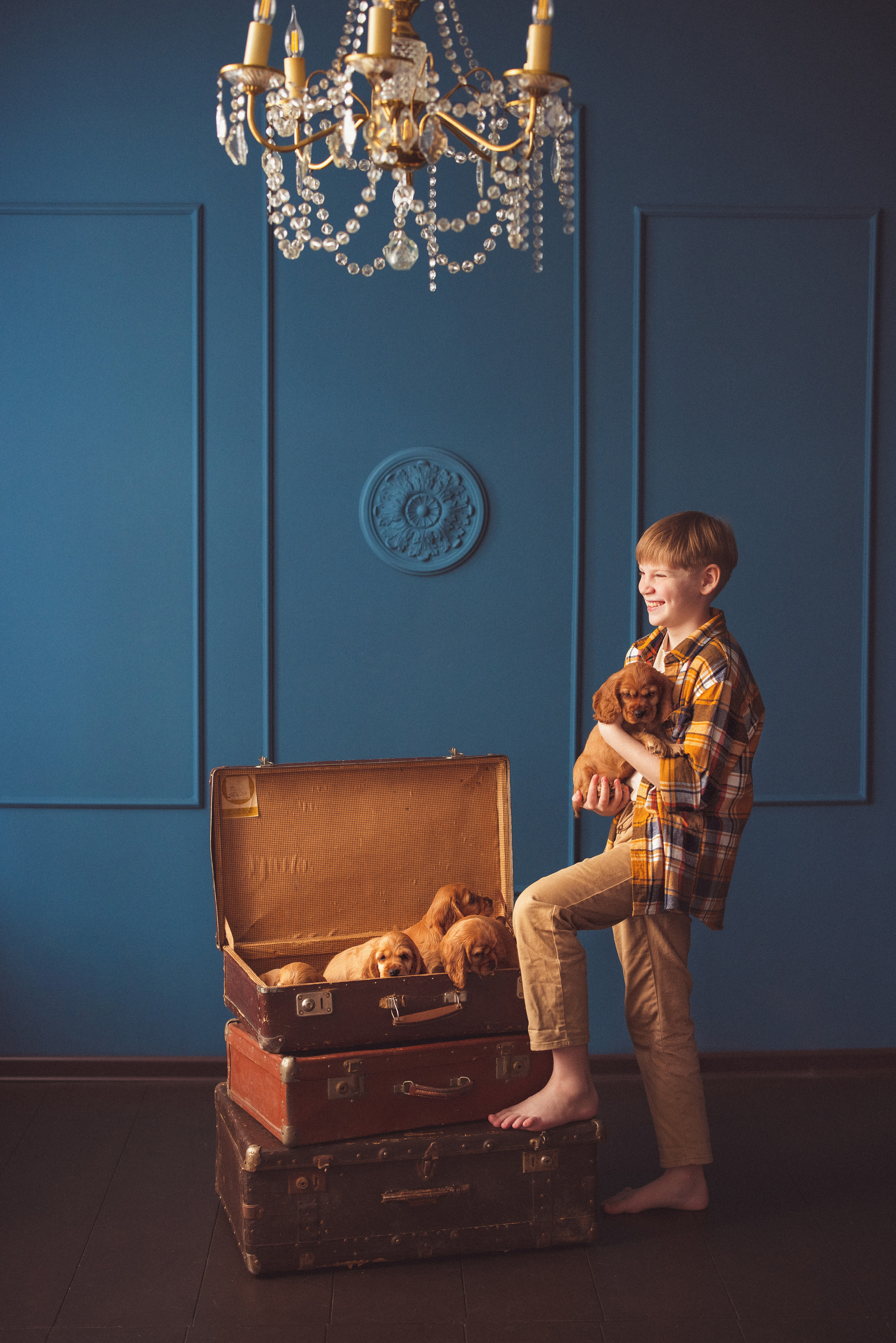 ЩЕНКИ (Кокер — спаниель). Семейный и детский фотограф в Краснодаре Анна Трашкова