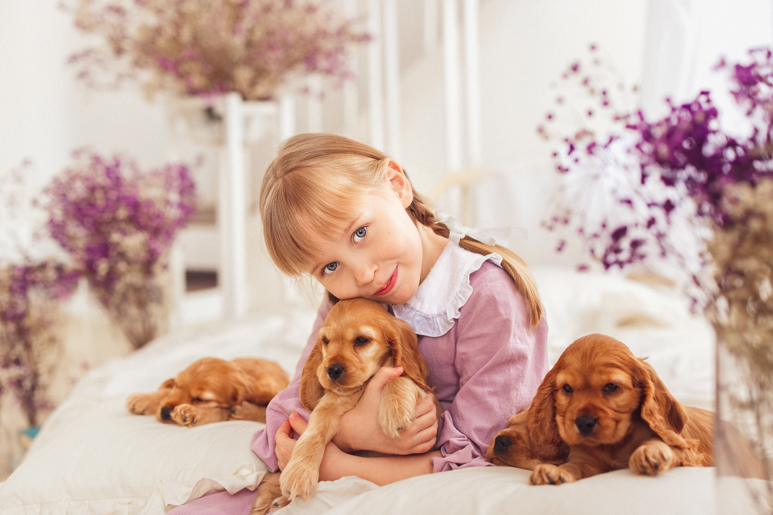 ЩЕНКИ (Кокер — спаниель). Семейный и детский фотограф в Краснодаре Анна Трашкова