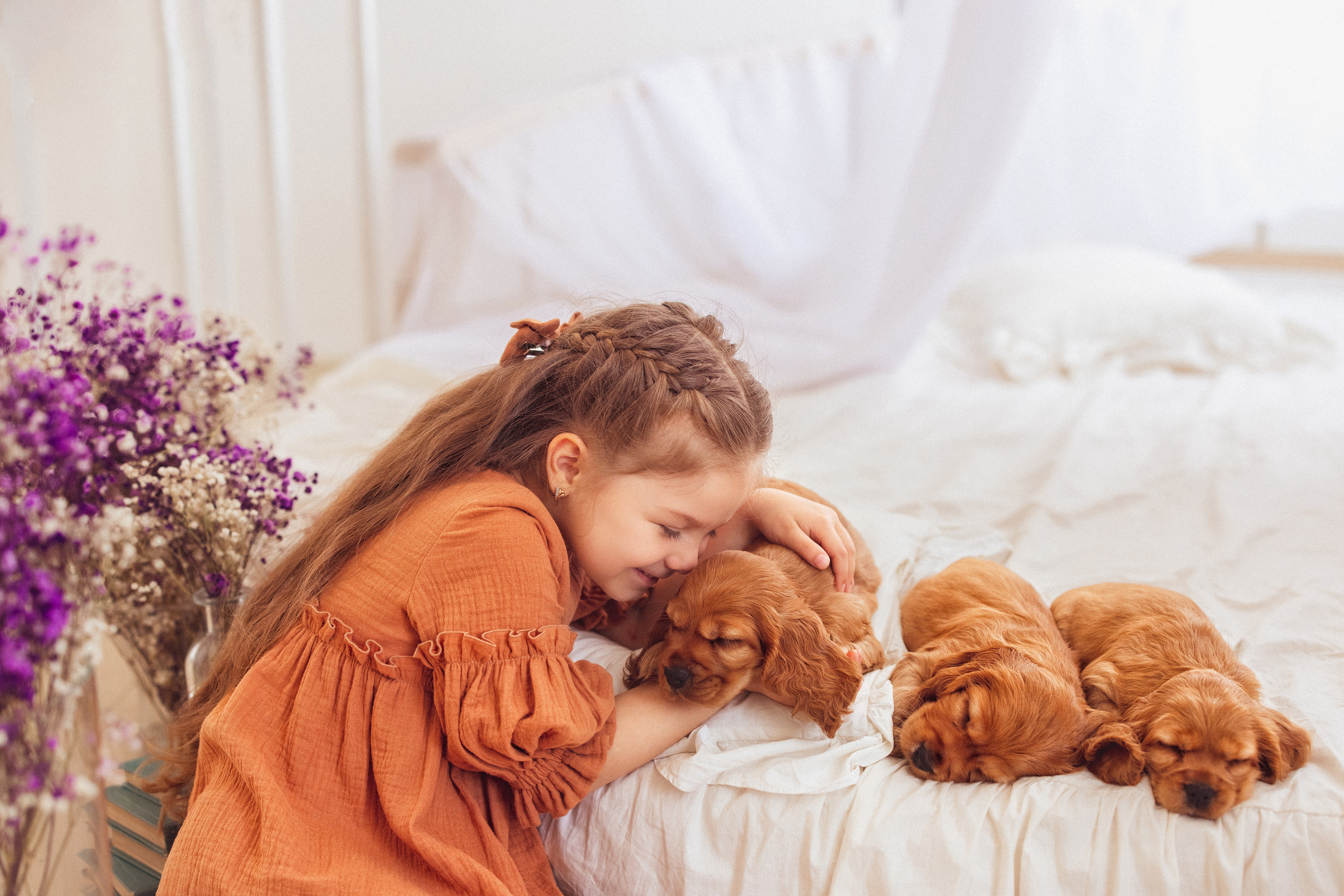 ЩЕНКИ (Кокер — спаниель). Семейный и детский фотограф в Краснодаре Анна Трашкова