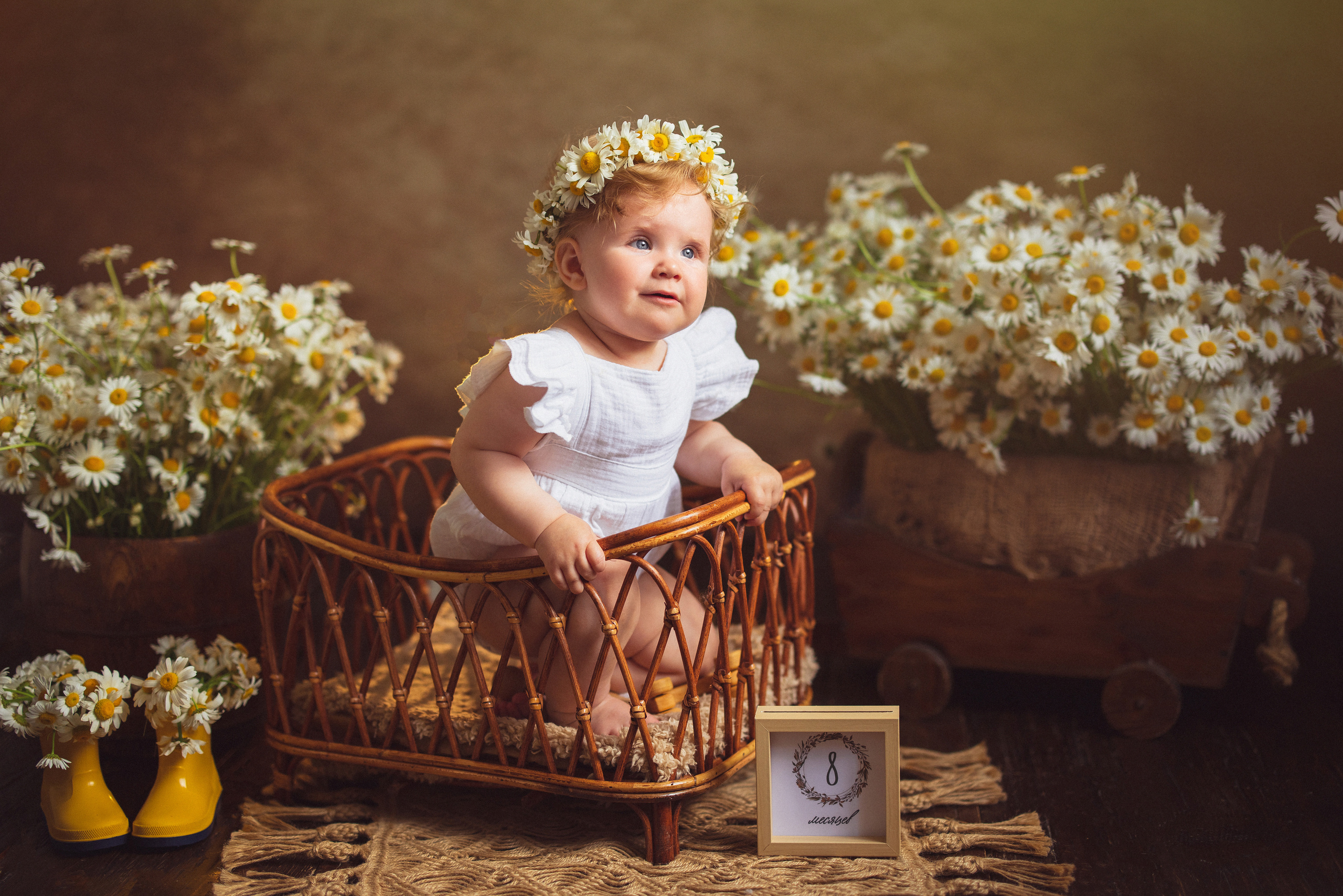 Ромашки, Фотостудия «АНТУРАЖ». Семейный и детский фотограф в Краснодаре Анна Трашкова