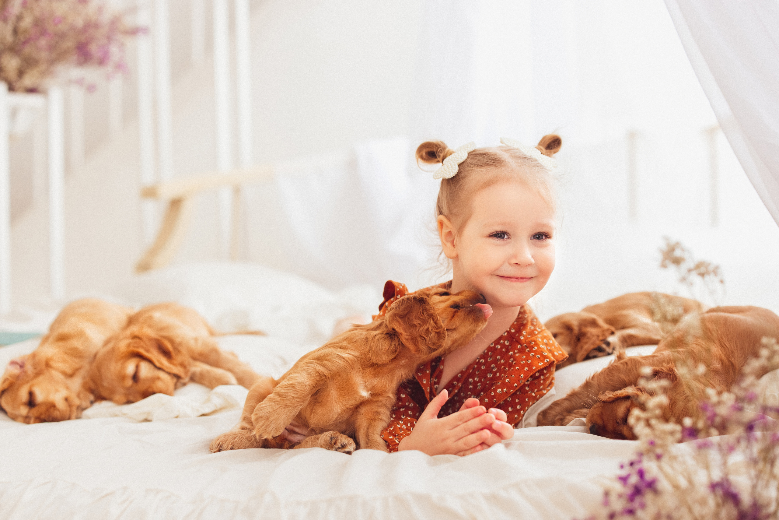 ЩЕНКИ (Кокер — спаниель). Семейный и детский фотограф в Краснодаре Анна Трашкова