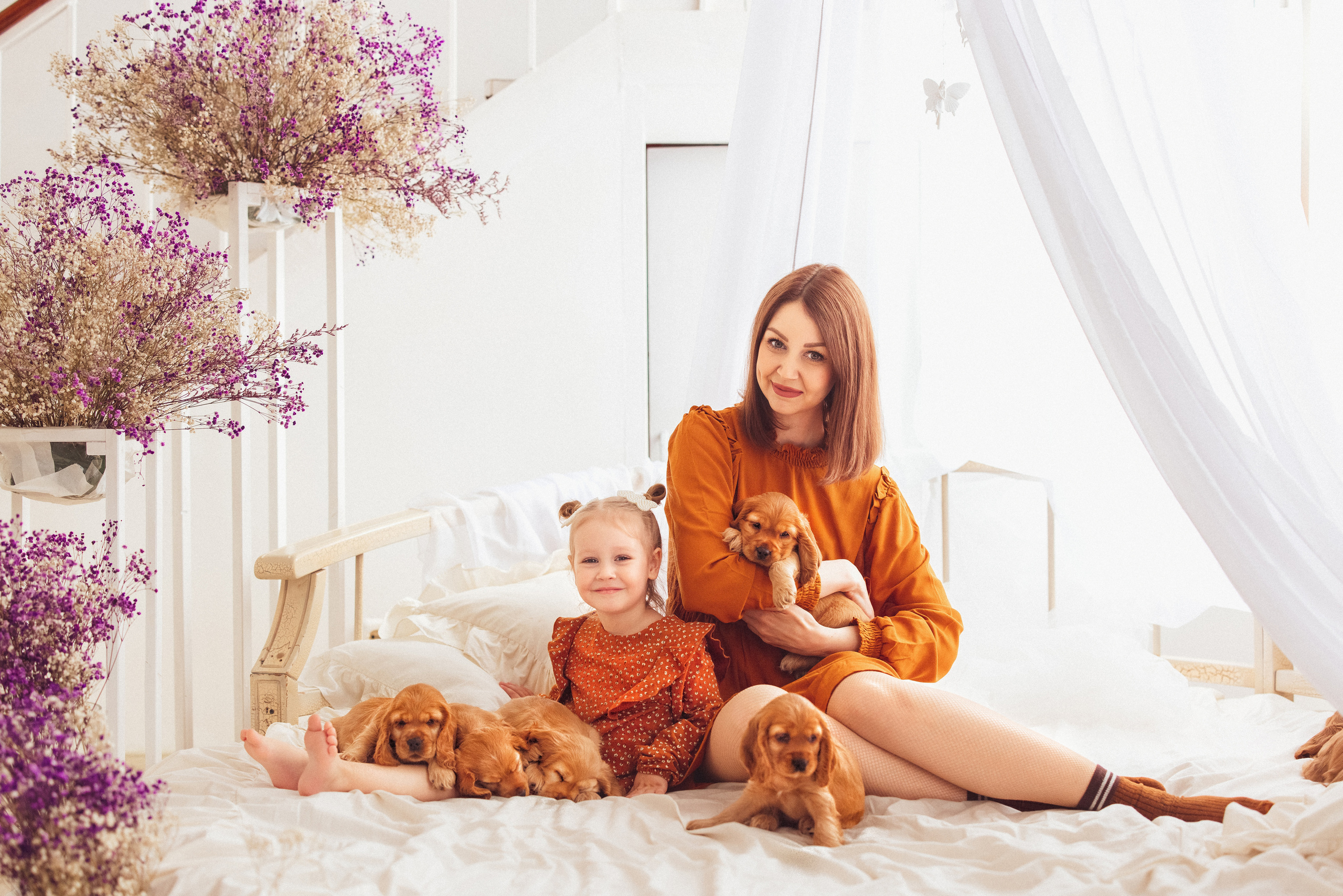 ЩЕНКИ (Кокер — спаниель). Семейный и детский фотограф в Краснодаре Анна Трашкова