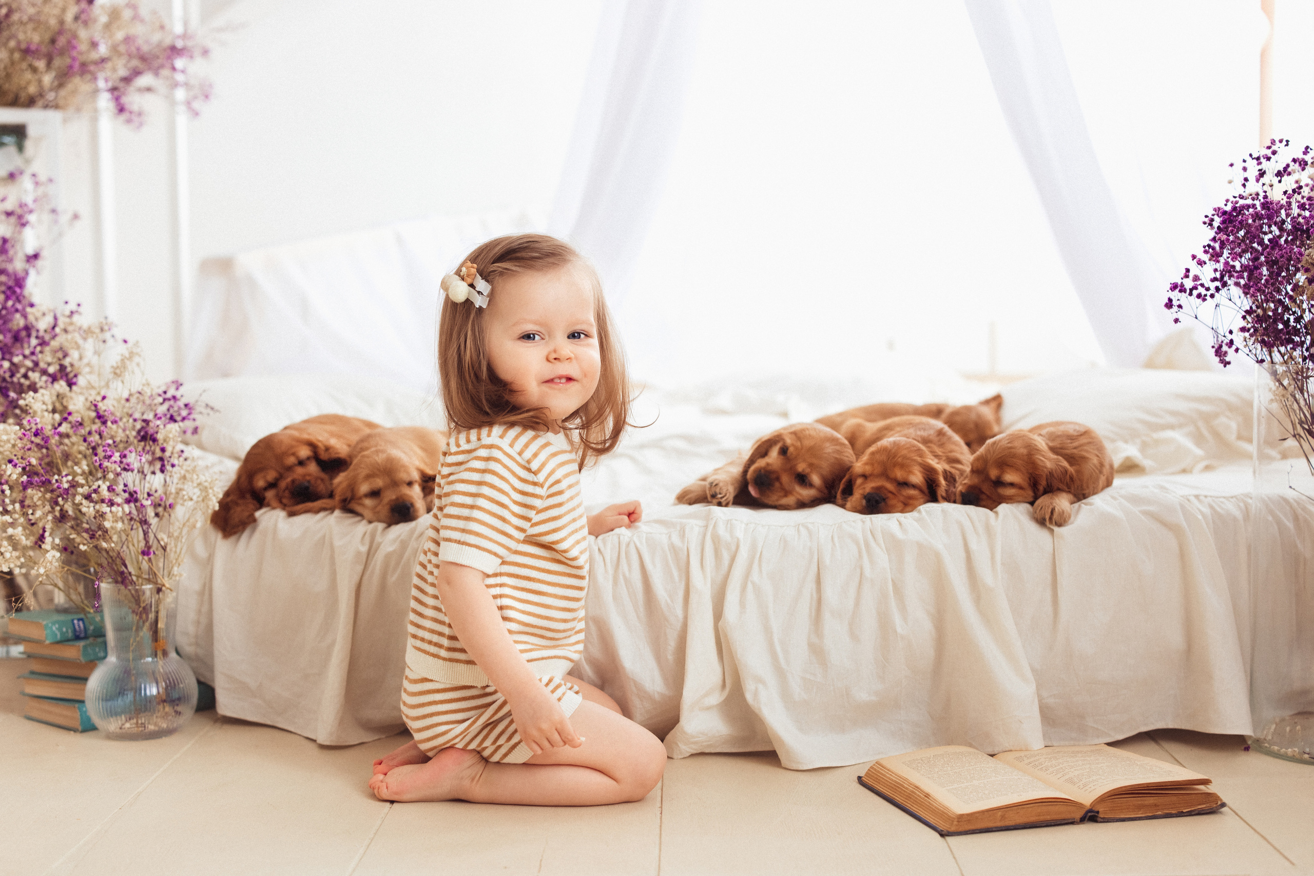 ЩЕНКИ (Кокер — спаниель). Семейный и детский фотограф в Краснодаре Анна Трашкова