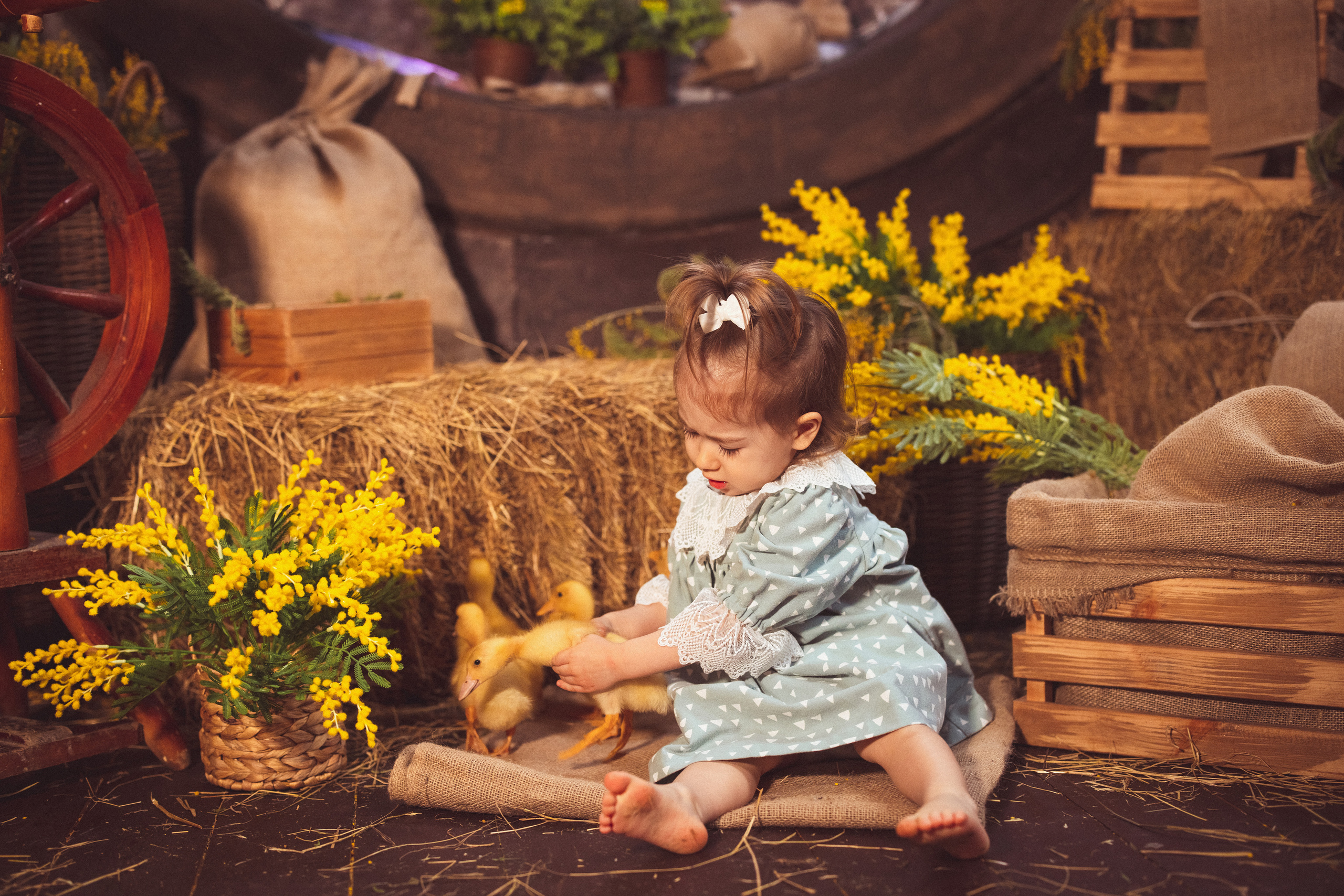 ПАСХА, Фотостудия «Эль» 2023 г. Семейный и детский фотограф в Краснодаре Анна Трашкова