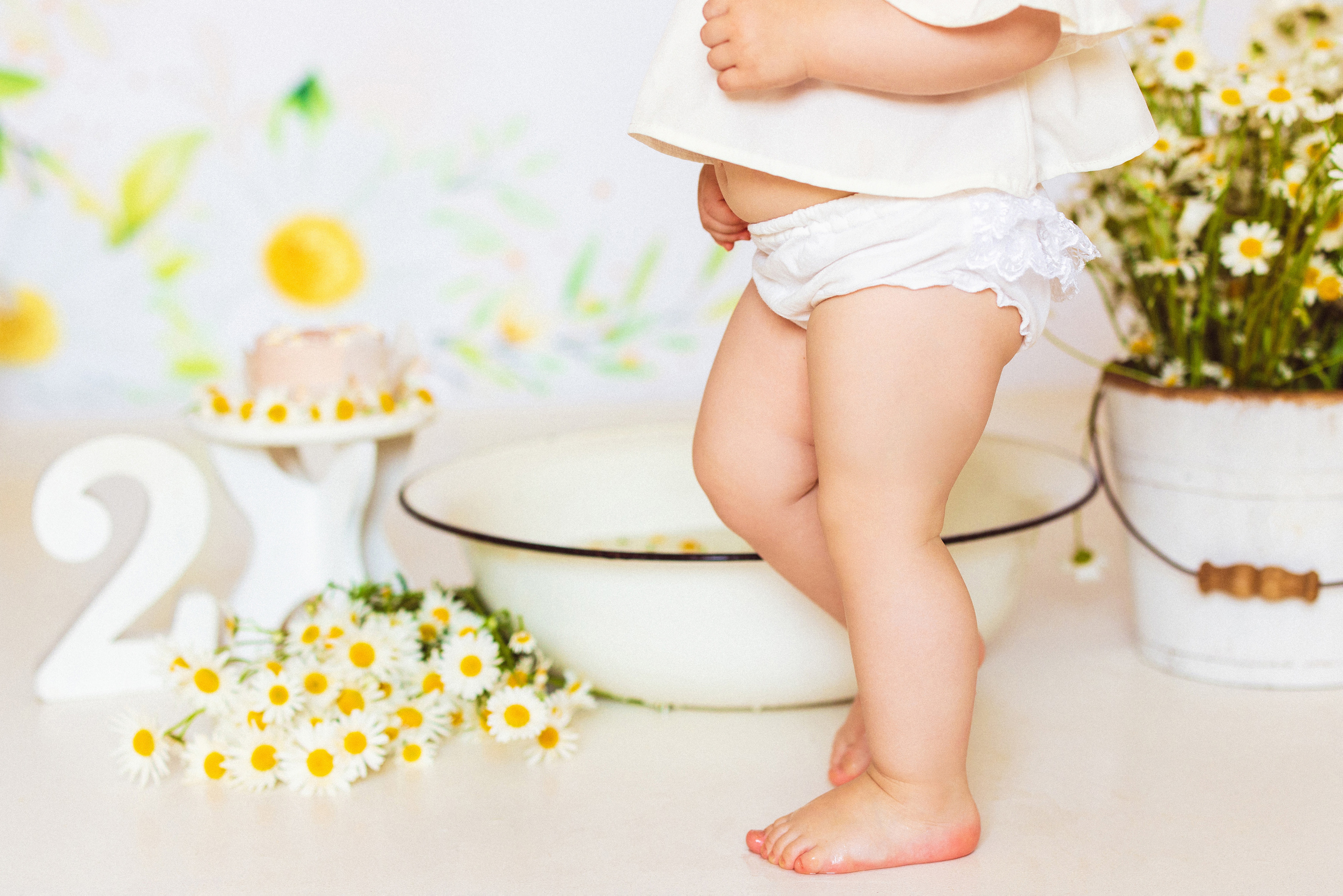 Ромашки, Фотостудия «АНТУРАЖ». Семейный и детский фотограф в Краснодаре Анна Трашкова