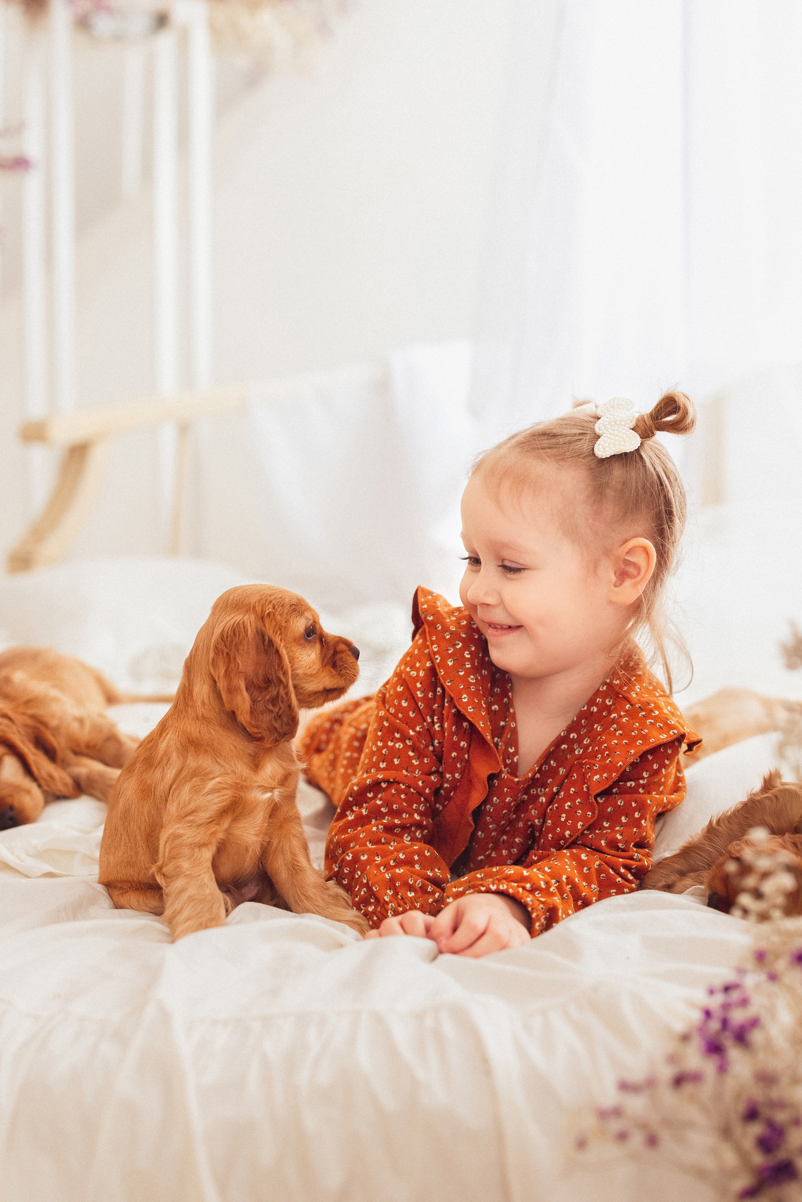 ЩЕНКИ (Кокер — спаниель). Семейный и детский фотограф в Краснодаре Анна Трашкова