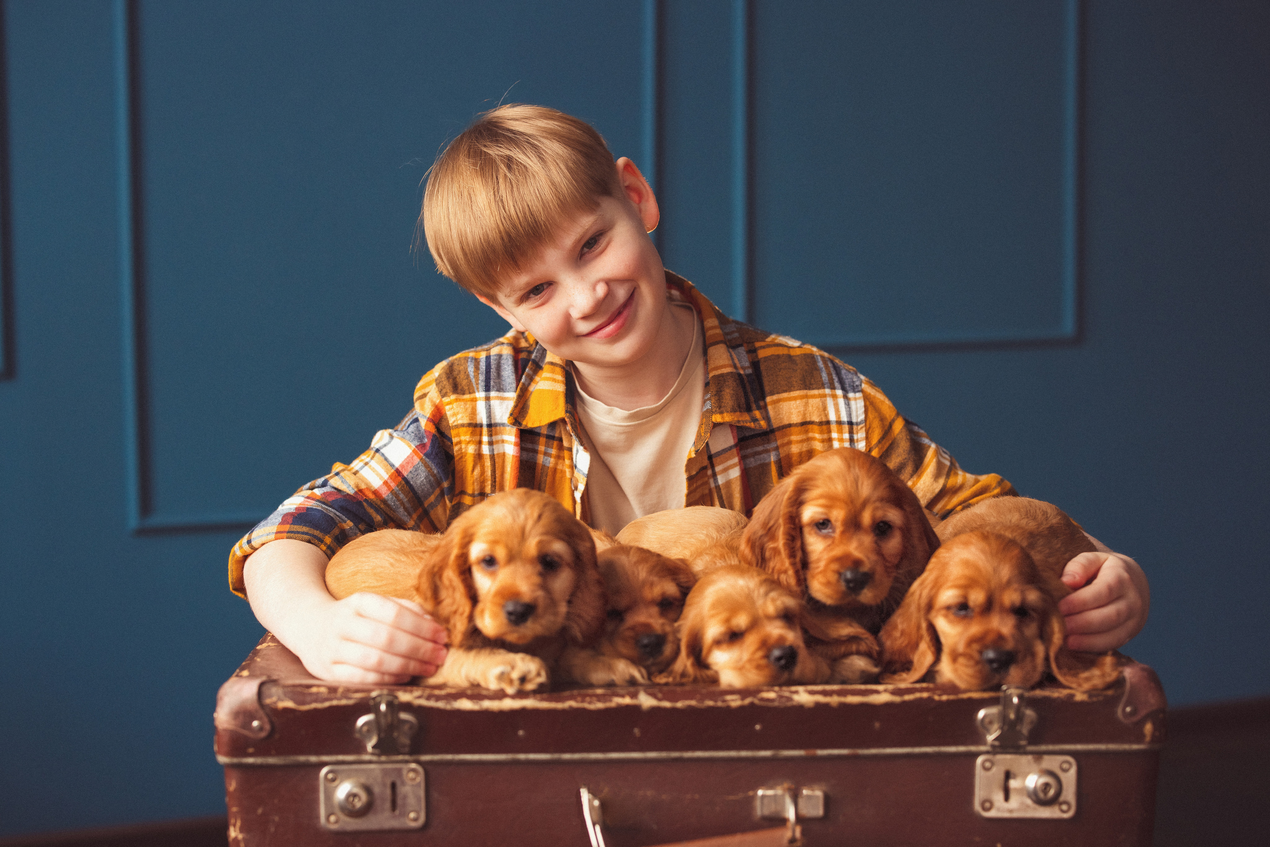 ЩЕНКИ (Кокер — спаниель). Семейный и детский фотограф в Краснодаре Анна Трашкова