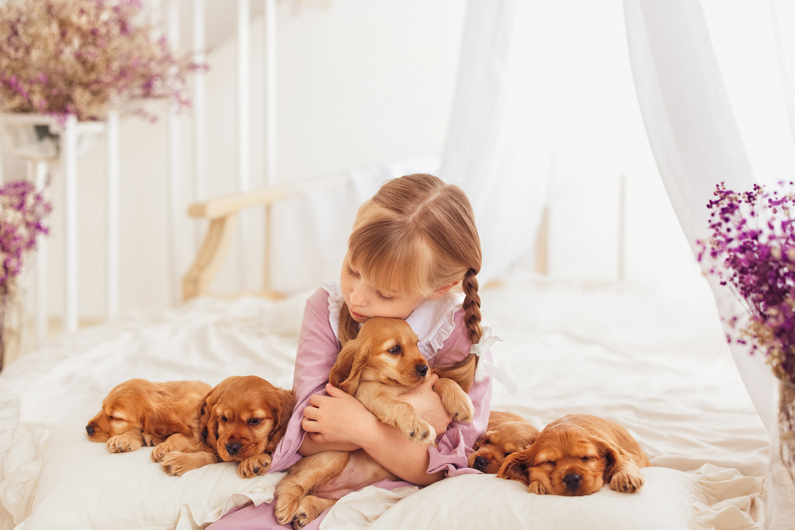 ЩЕНКИ (Кокер — спаниель). Семейный и детский фотограф в Краснодаре Анна Трашкова