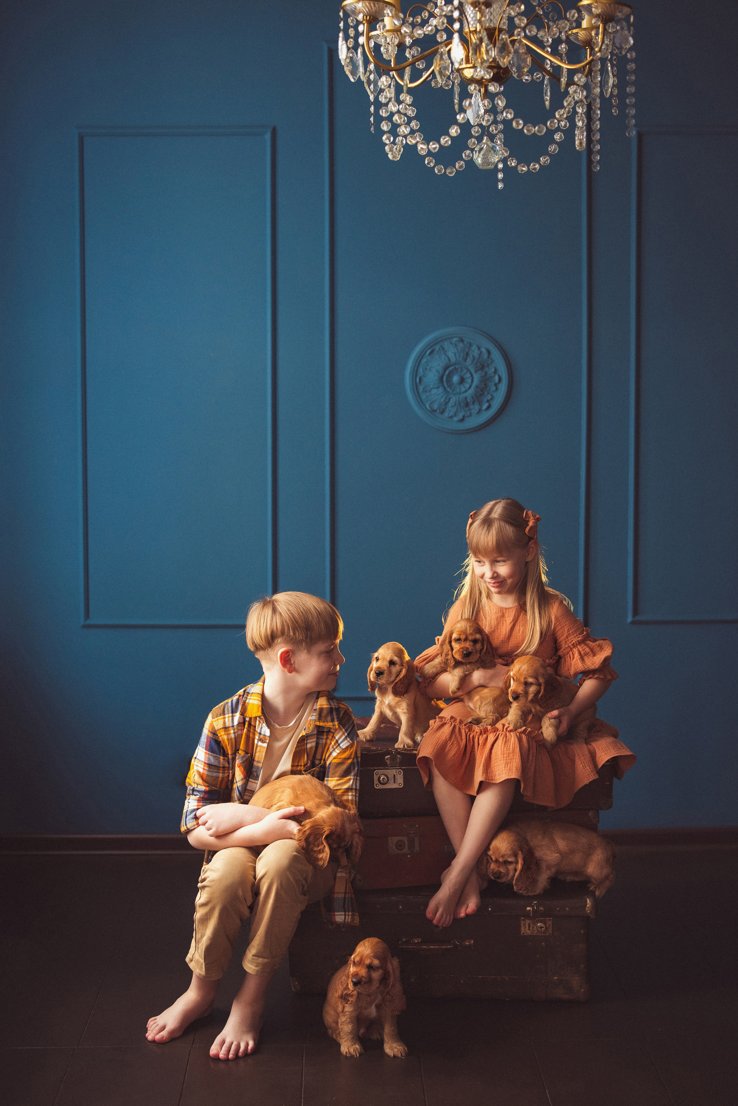 ЩЕНКИ (Кокер — спаниель). Семейный и детский фотограф в Краснодаре Анна Трашкова