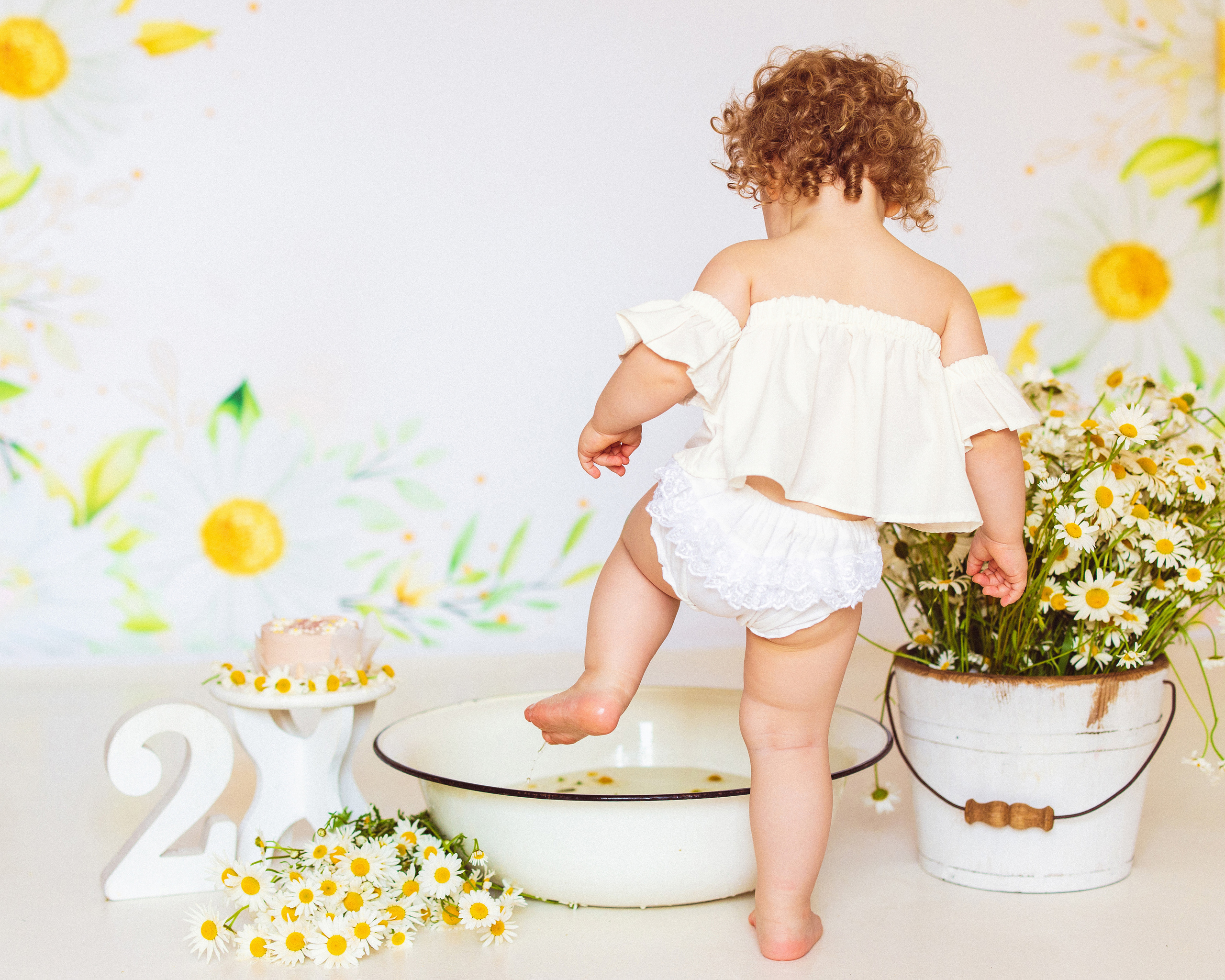 Ромашки, Фотостудия «АНТУРАЖ». Семейный и детский фотограф в Краснодаре Анна Трашкова