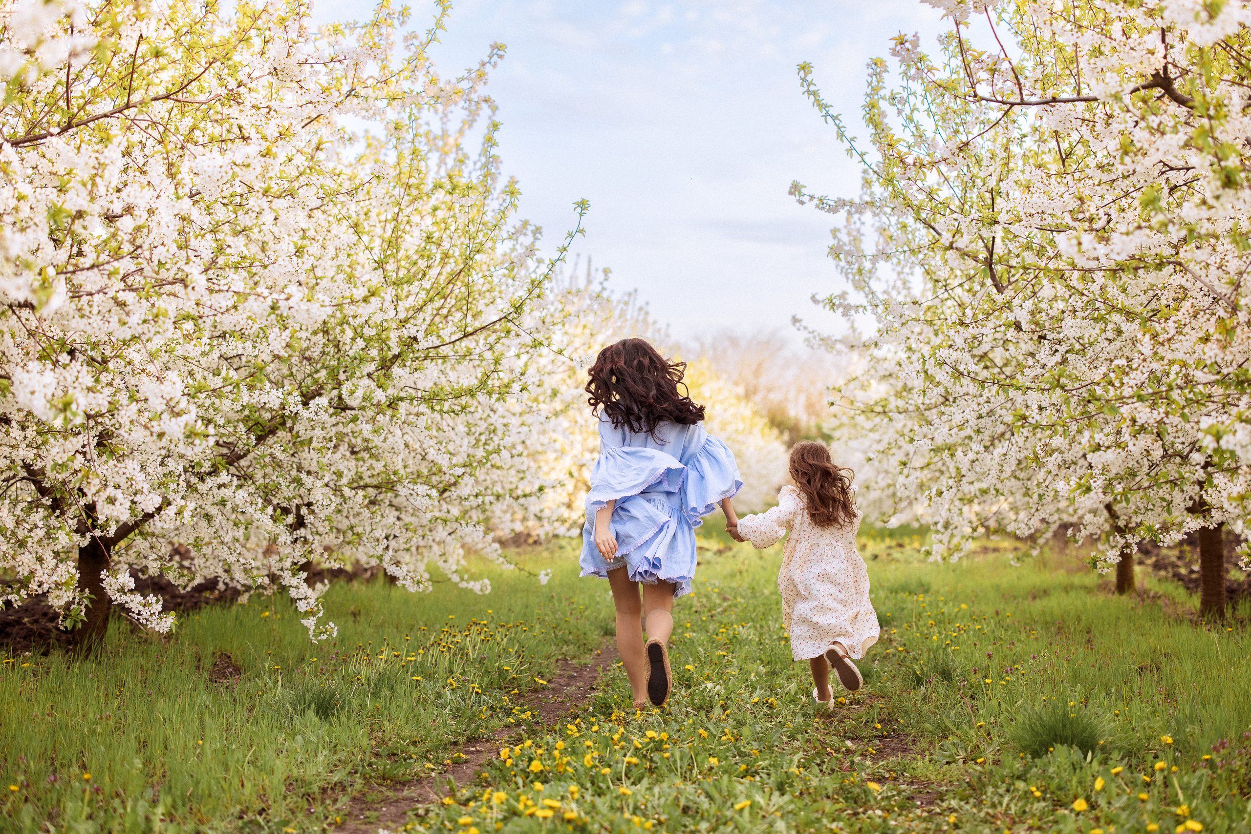 Фотосессия в цветущем саду, Краснодар. Семейный и детский фотограф в Краснодаре Анна Трашкова