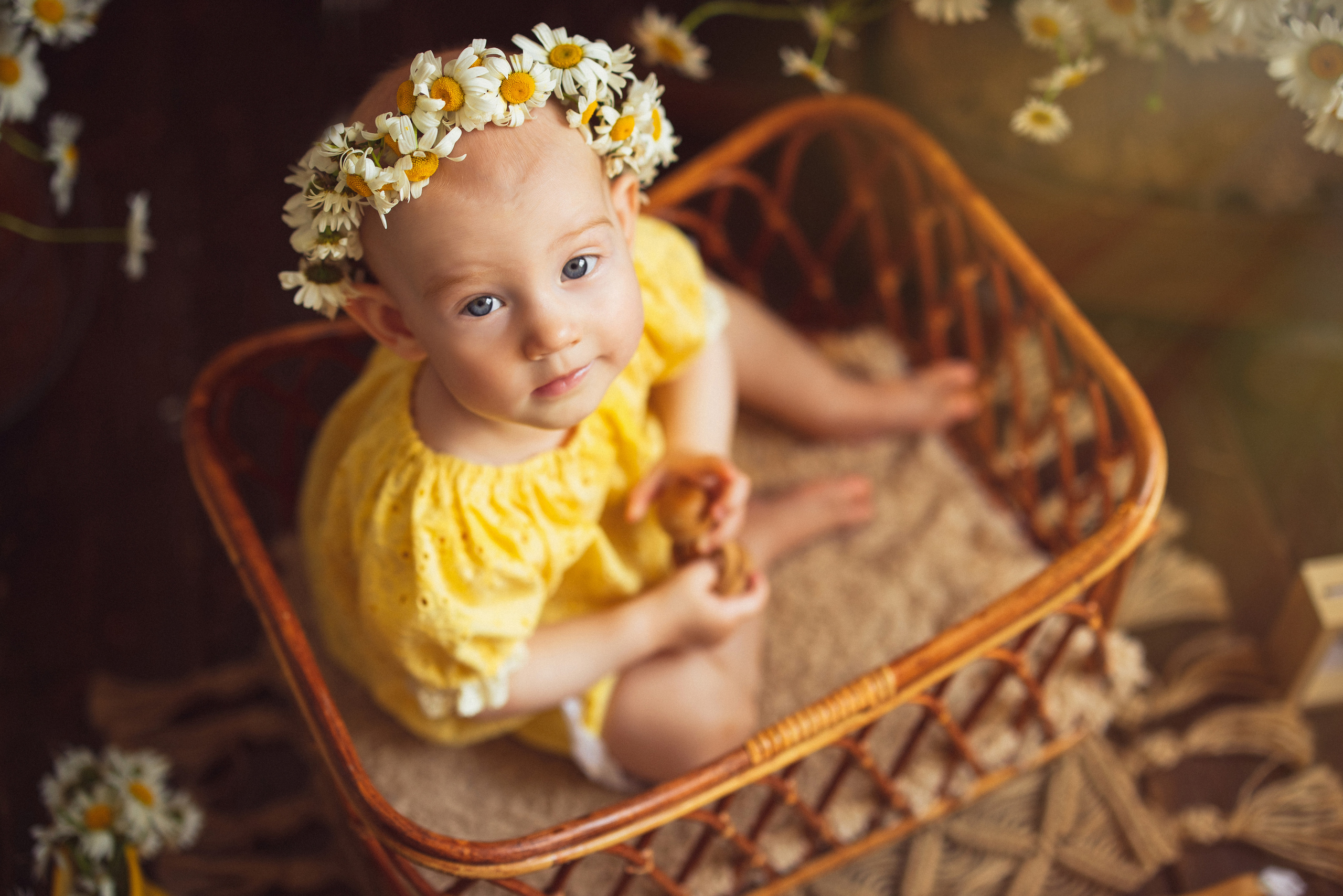 Ромашки, Фотостудия «АНТУРАЖ». Семейный и детский фотограф в Краснодаре Анна Трашкова