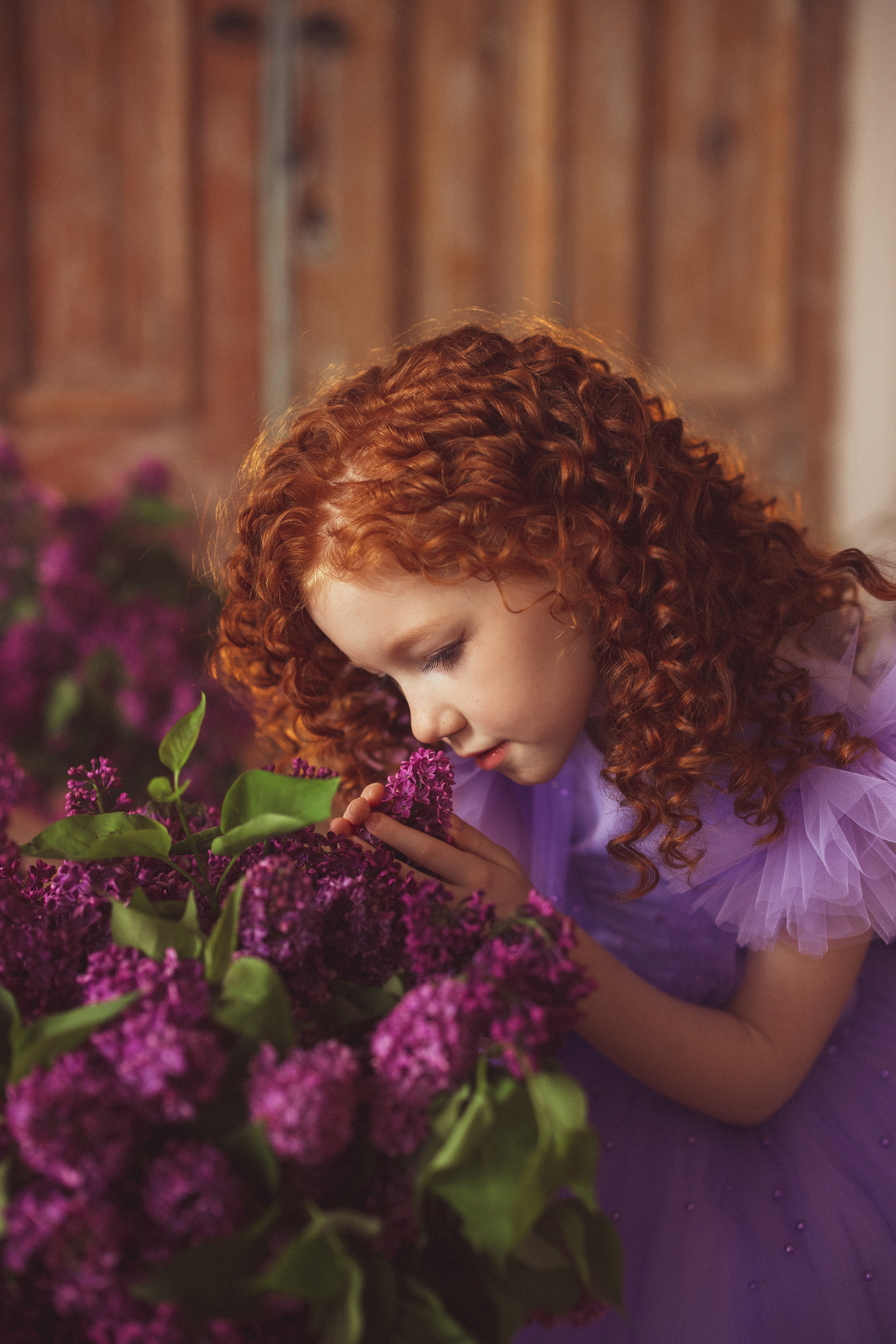 Сирень, Зал «БЕРЛИН». Семейный и детский фотограф в Краснодаре Анна Трашкова
