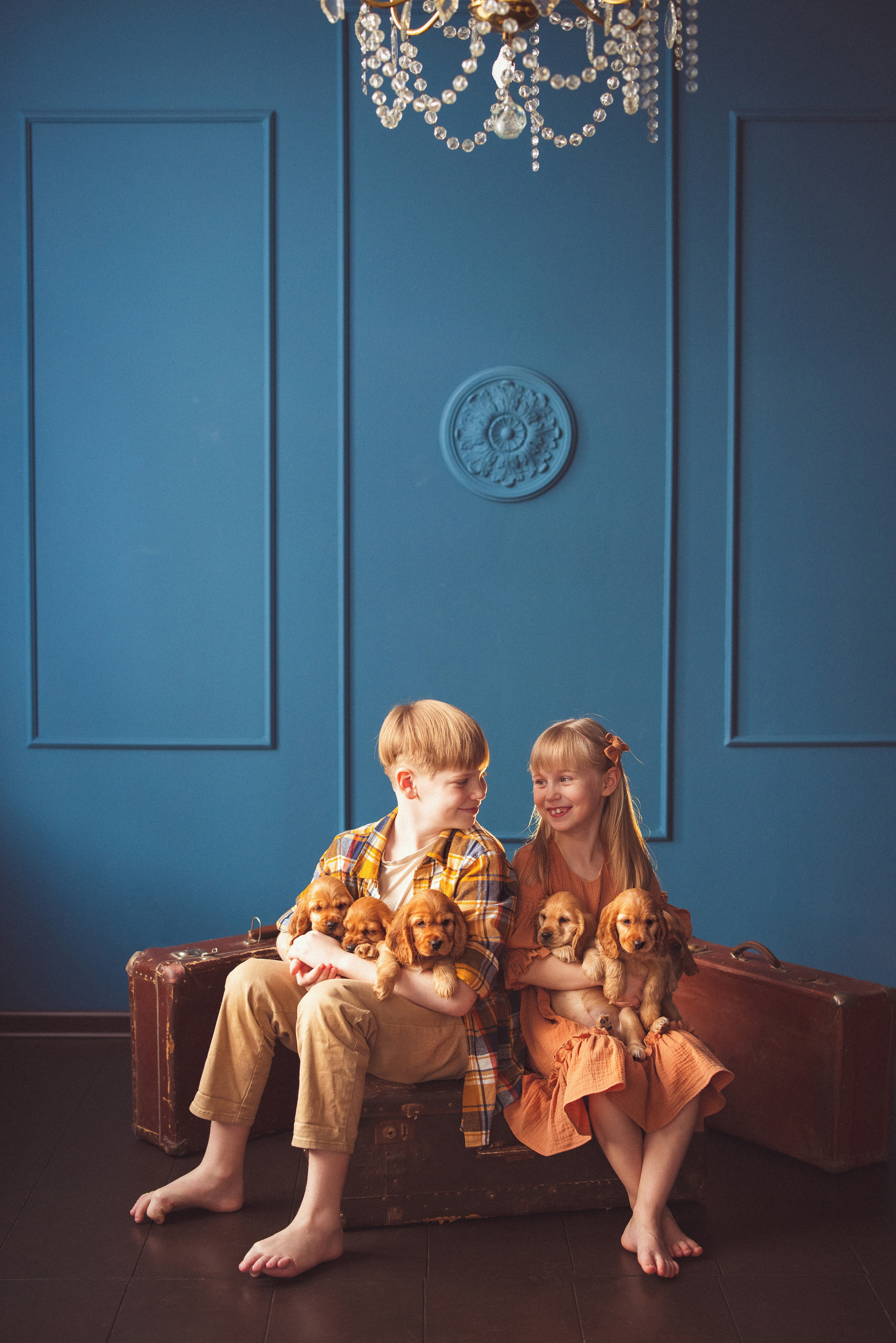 ЩЕНКИ (Кокер — спаниель). Семейный и детский фотограф в Краснодаре Анна Трашкова