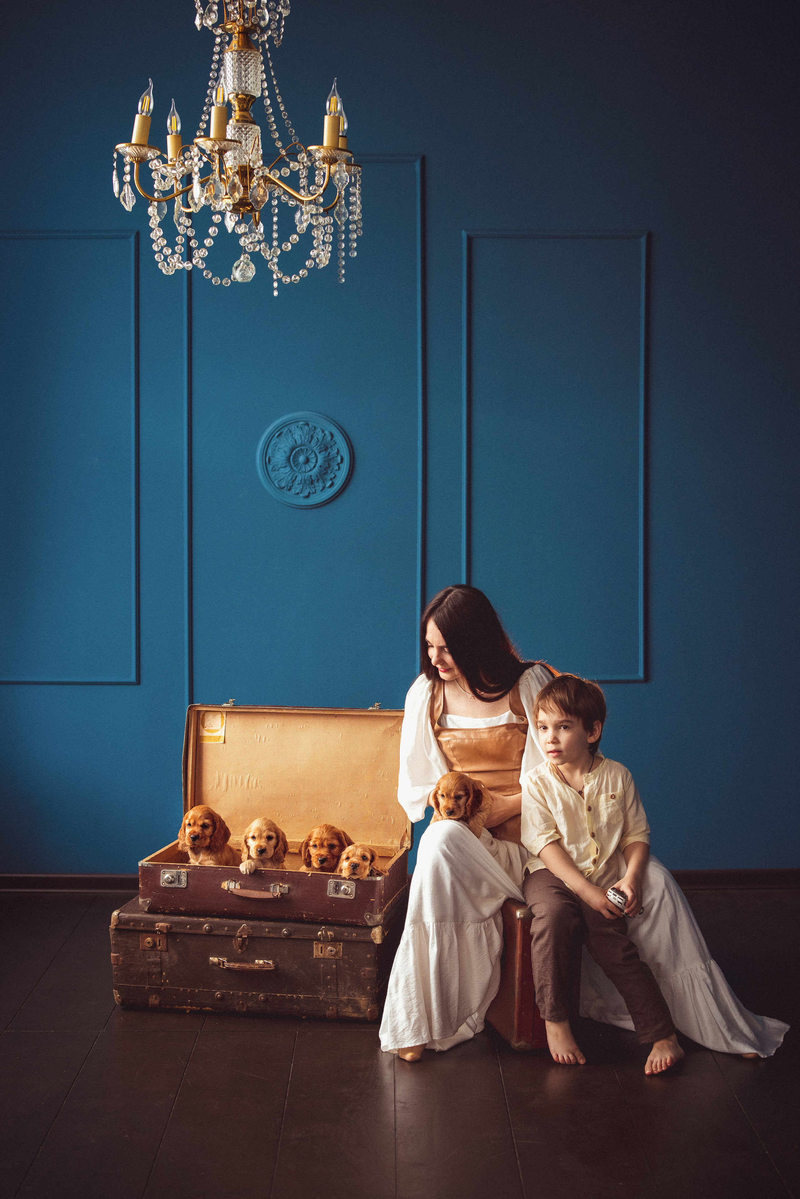 ЩЕНКИ (Кокер — спаниель). Семейный и детский фотограф в Краснодаре Анна Трашкова