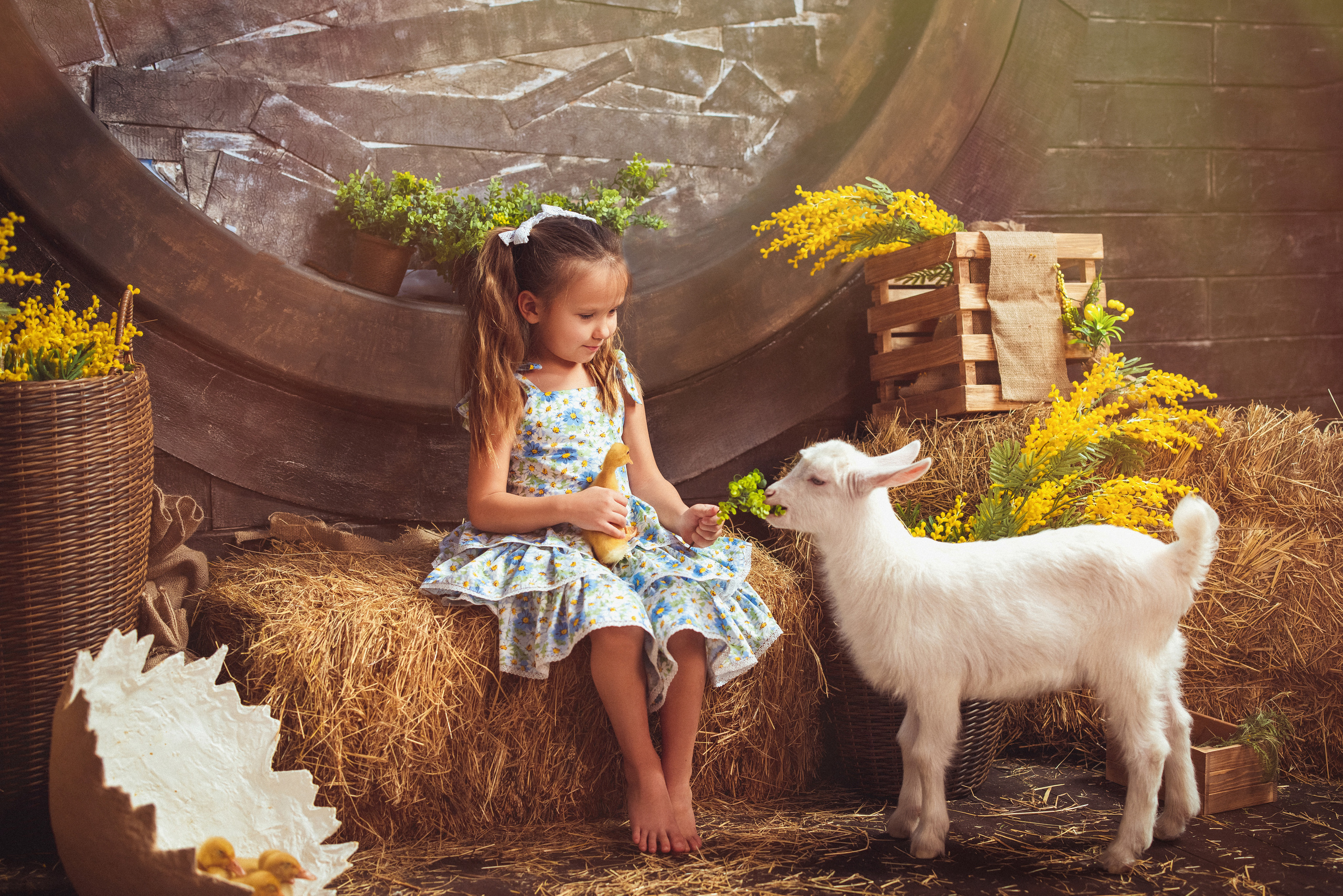 ПАСХА, Фотостудия «Эль» 2023 г. Семейный и детский фотограф в Краснодаре Анна Трашкова