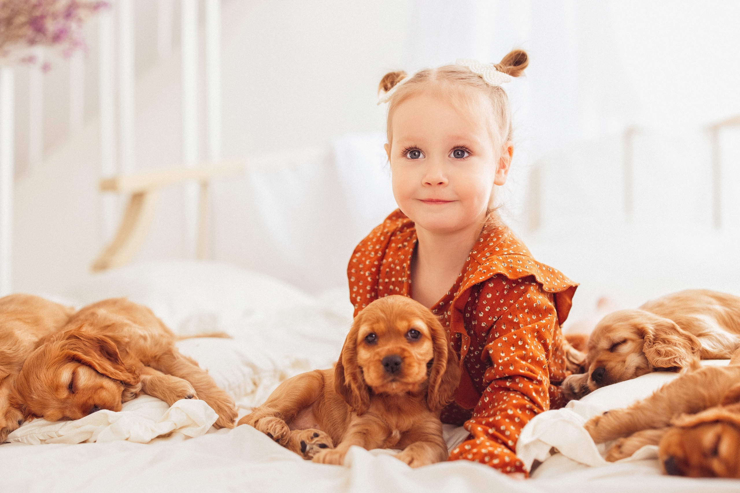 ЩЕНКИ (Кокер — спаниель). Семейный и детский фотограф в Краснодаре Анна Трашкова