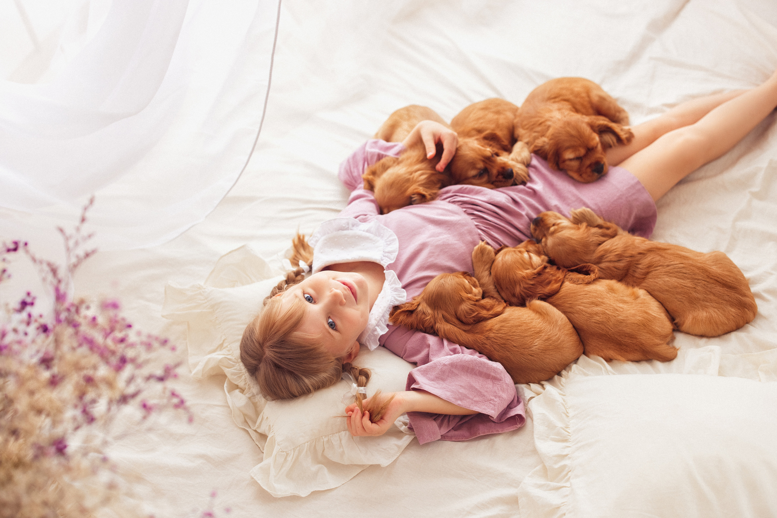ЩЕНКИ (Кокер — спаниель). Семейный и детский фотограф в Краснодаре Анна Трашкова