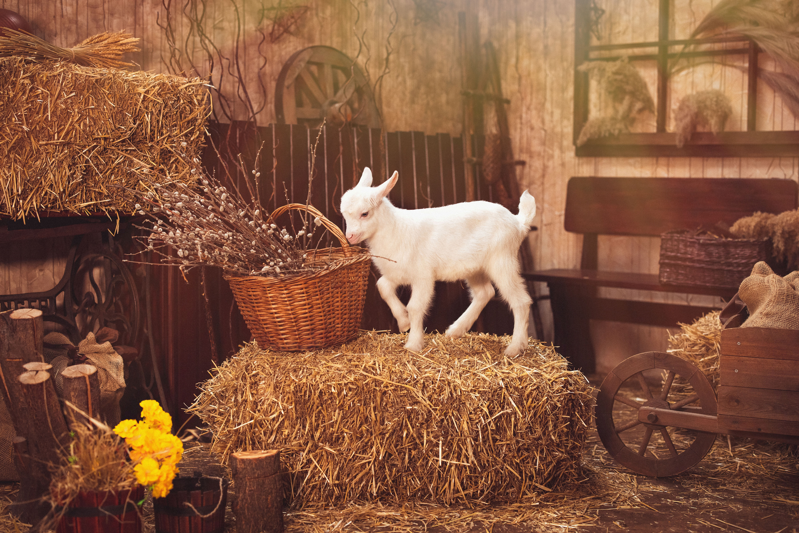 ПАСХА, Фотостудия «Эль» 2023 г. Семейный и детский фотограф в Краснодаре Анна Трашкова