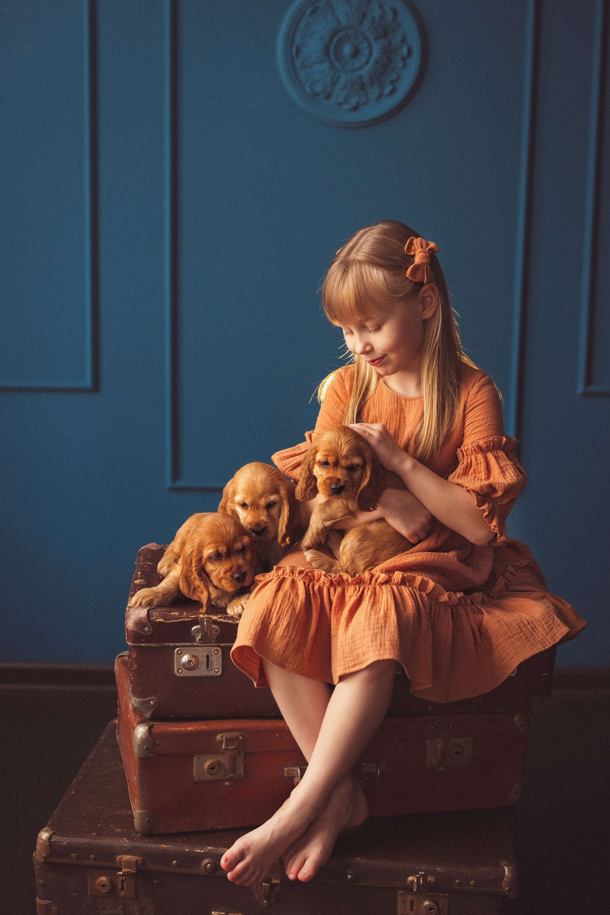 ЩЕНКИ (Кокер — спаниель). Семейный и детский фотограф в Краснодаре Анна Трашкова