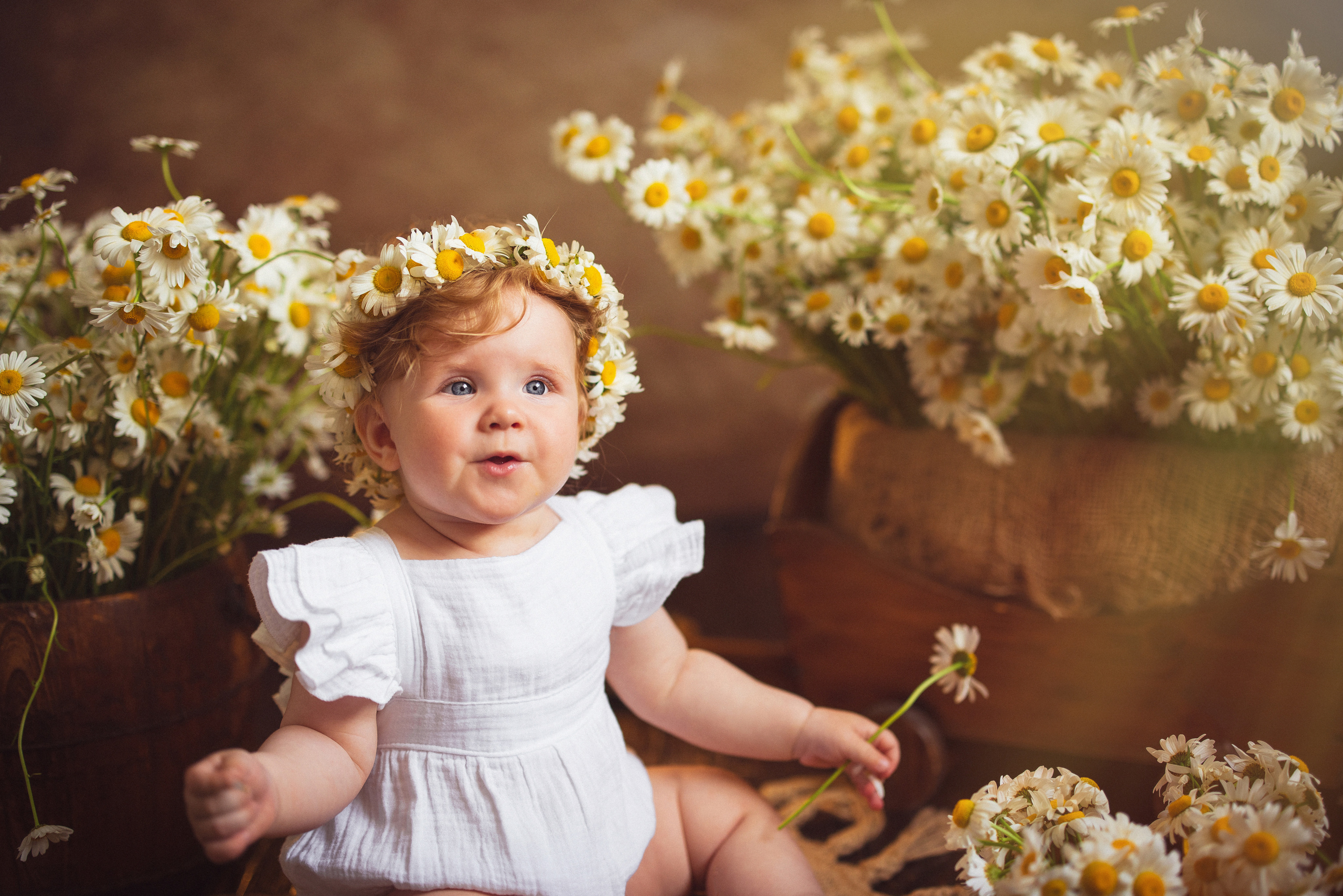 Ромашки, Фотостудия «АНТУРАЖ». Семейный и детский фотограф в Краснодаре Анна Трашкова