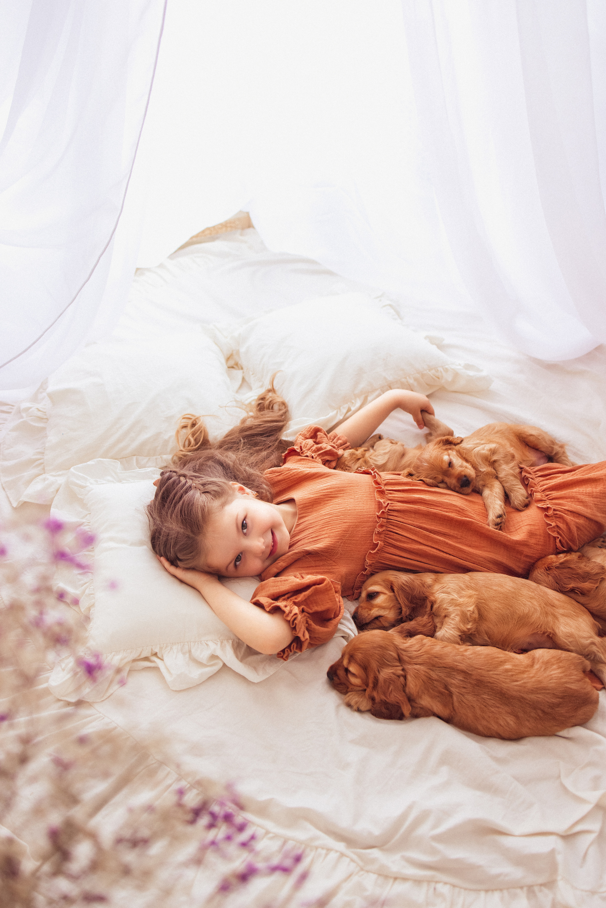 ЩЕНКИ (Кокер — спаниель). Семейный и детский фотограф в Краснодаре Анна Трашкова