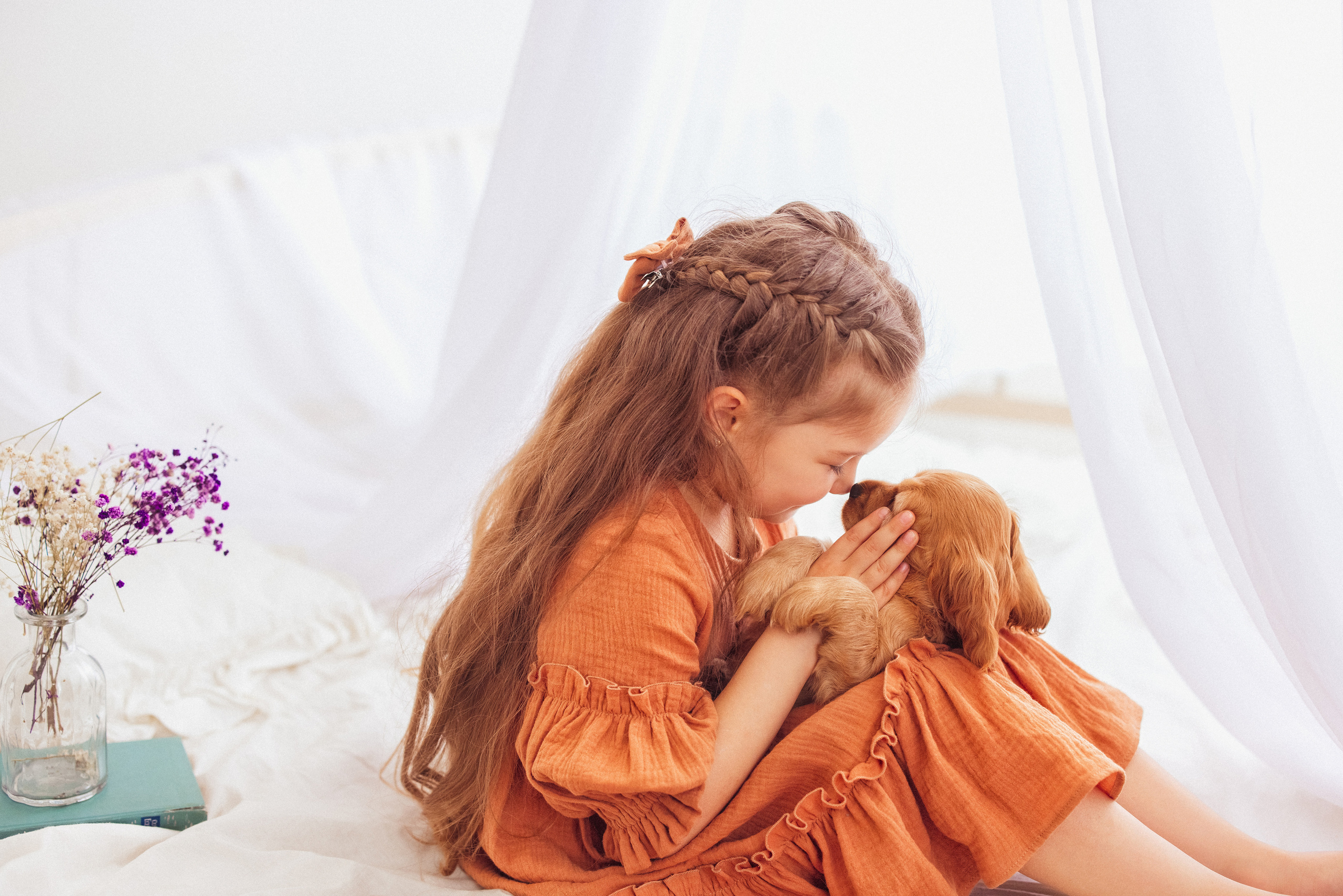 ЩЕНКИ (Кокер — спаниель). Семейный и детский фотограф в Краснодаре Анна Трашкова