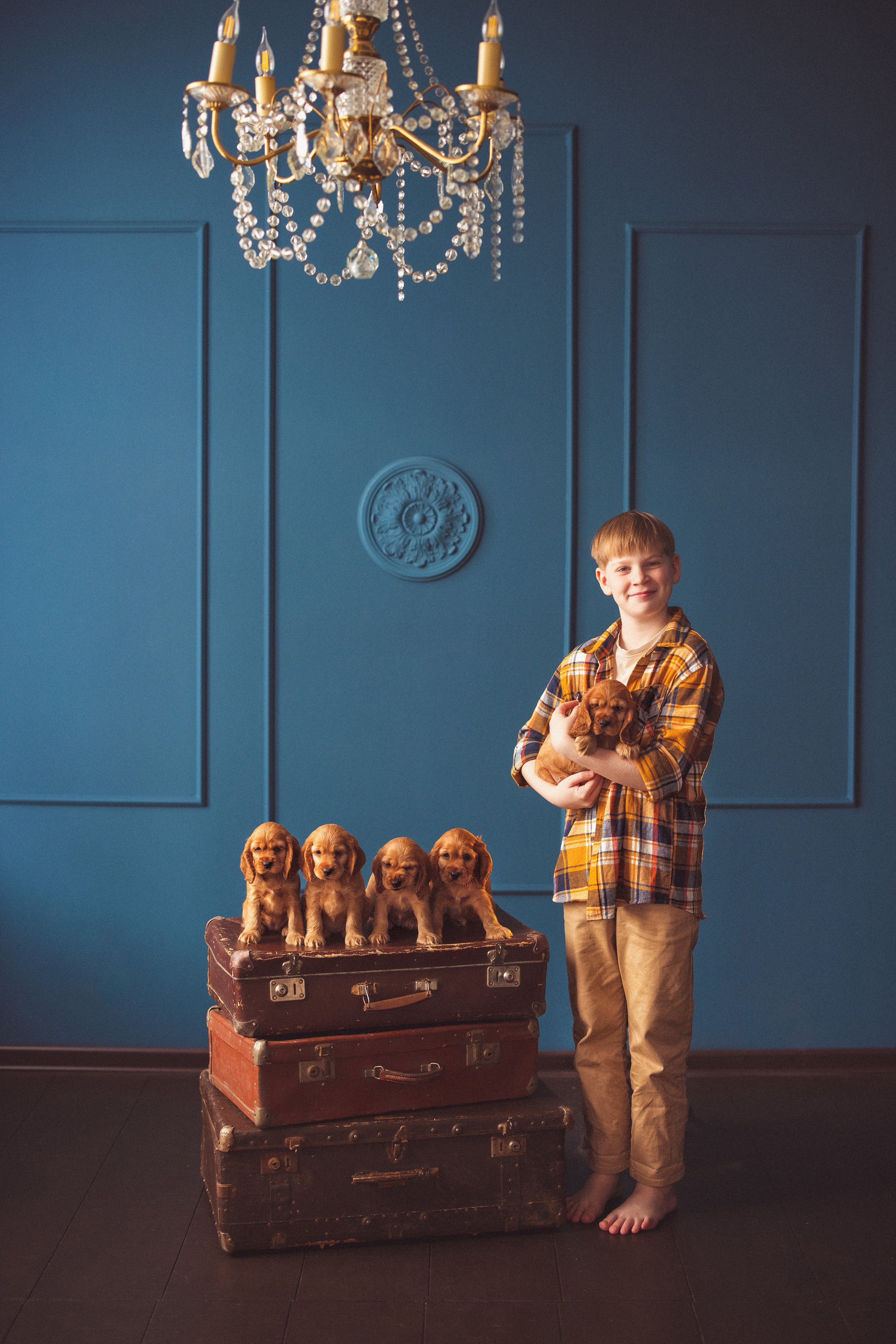 ЩЕНКИ (Кокер — спаниель). Семейный и детский фотограф в Краснодаре Анна Трашкова