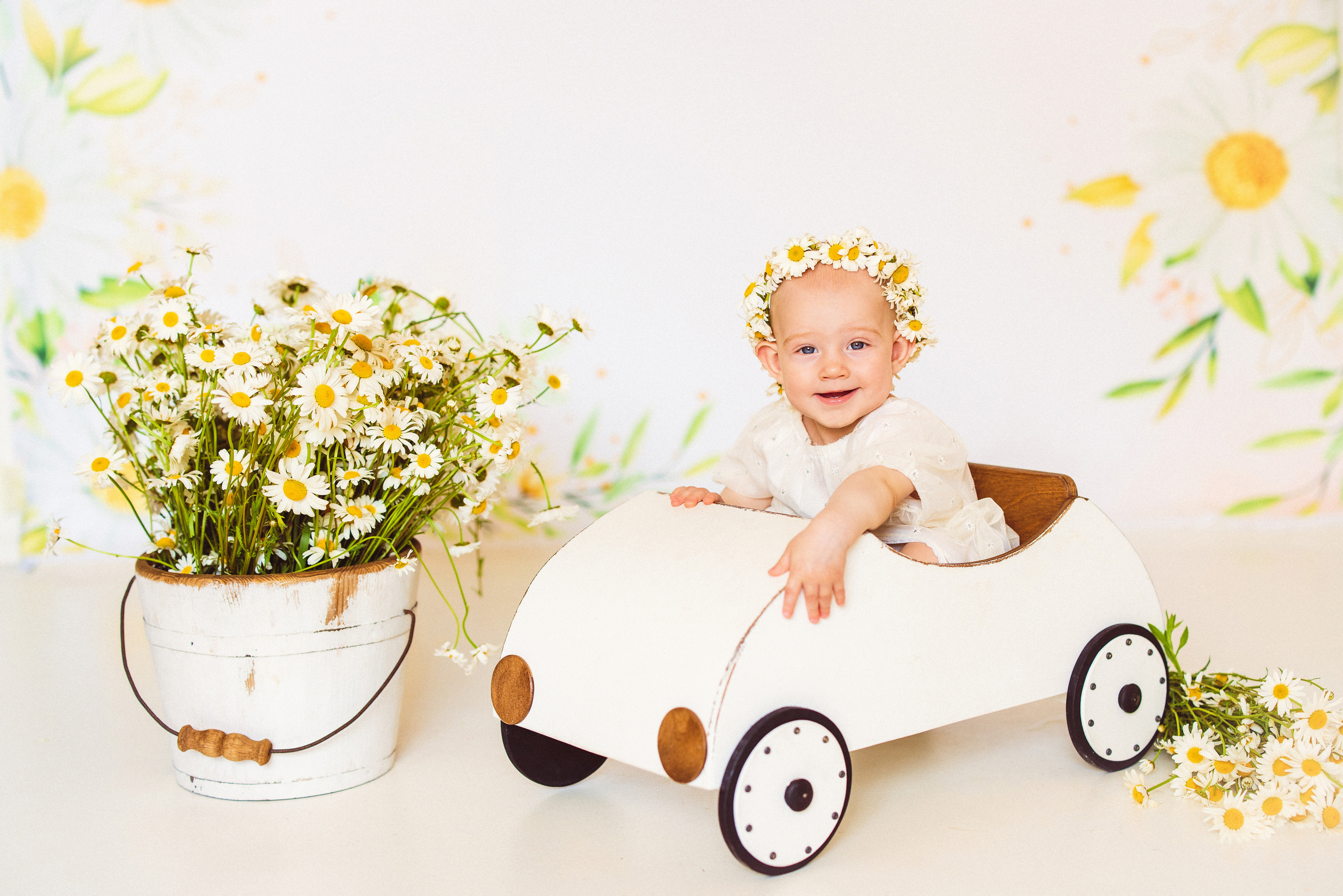 Ромашки, Фотостудия «АНТУРАЖ». Семейный и детский фотограф в Краснодаре Анна Трашкова