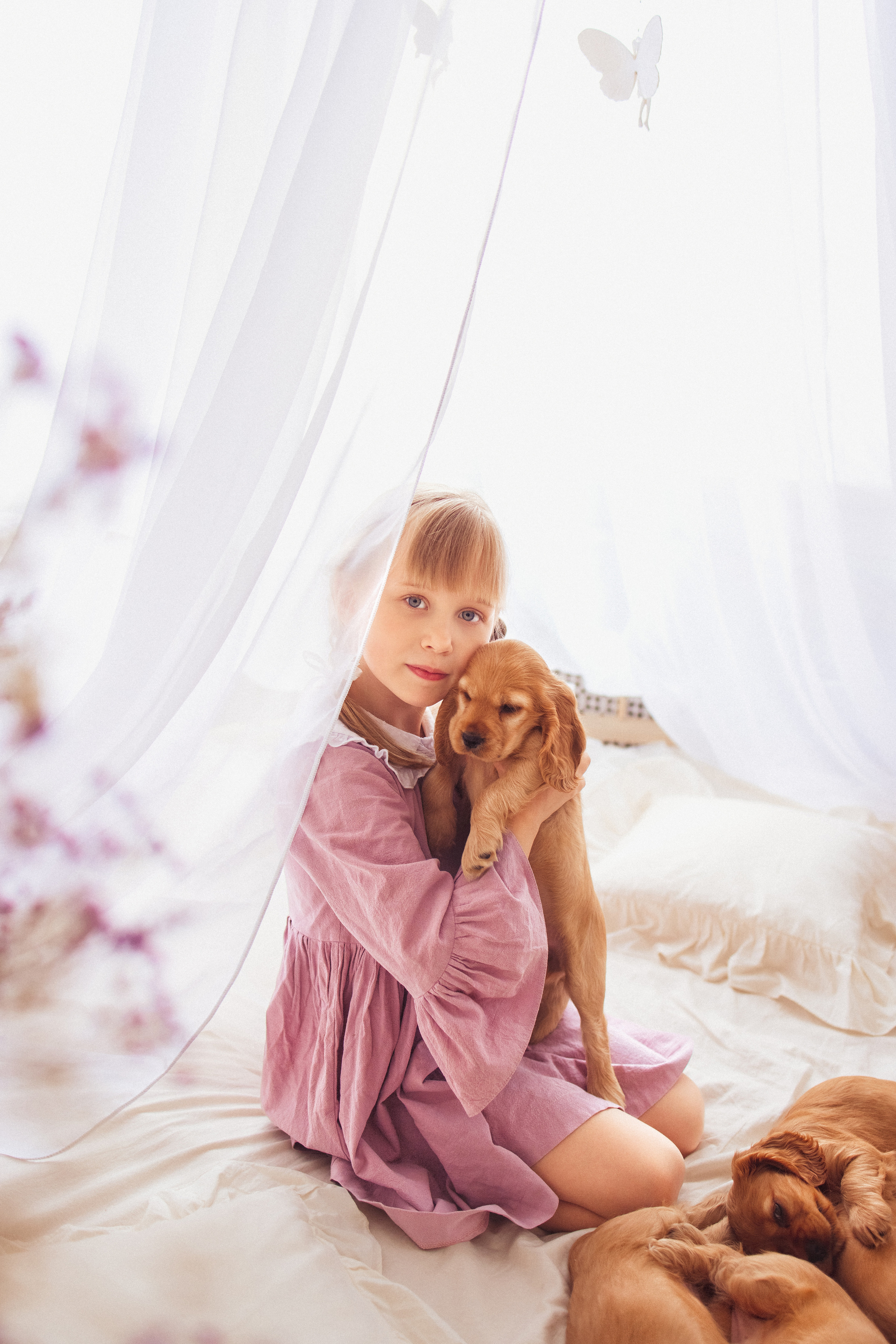 ЩЕНКИ (Кокер — спаниель). Семейный и детский фотограф в Краснодаре Анна Трашкова