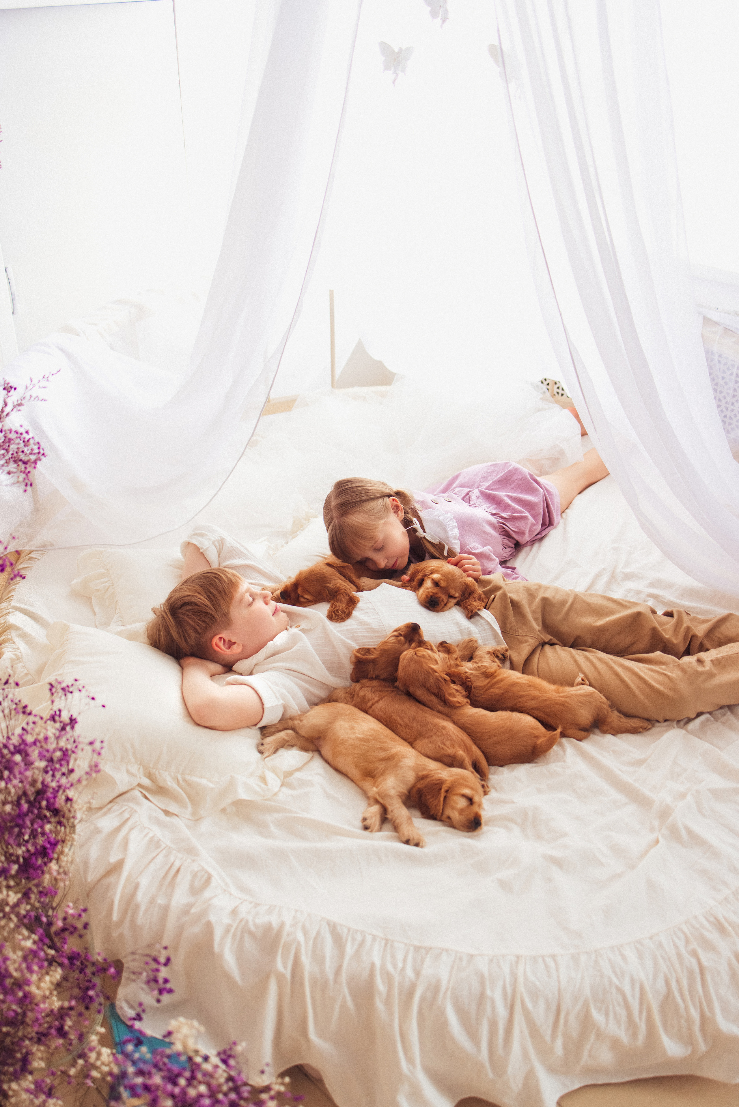 ЩЕНКИ (Кокер — спаниель). Семейный и детский фотограф в Краснодаре Анна Трашкова