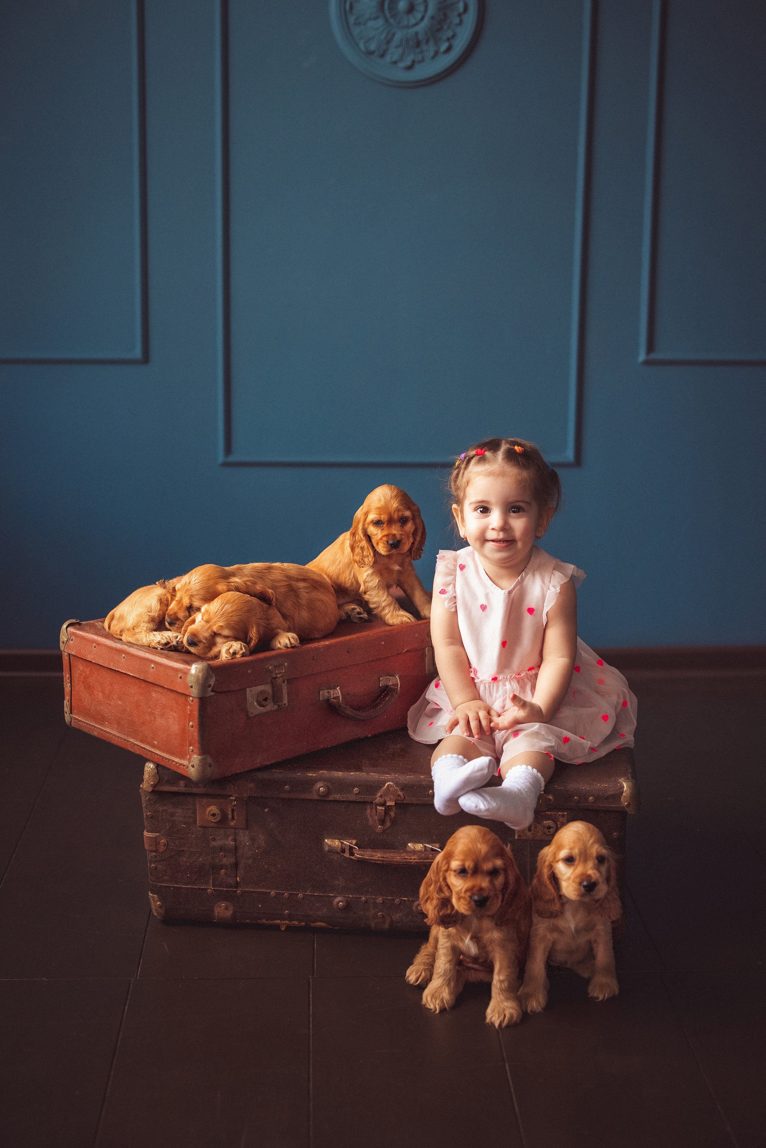 ЩЕНКИ (Кокер — спаниель). Семейный и детский фотограф в Краснодаре Анна Трашкова