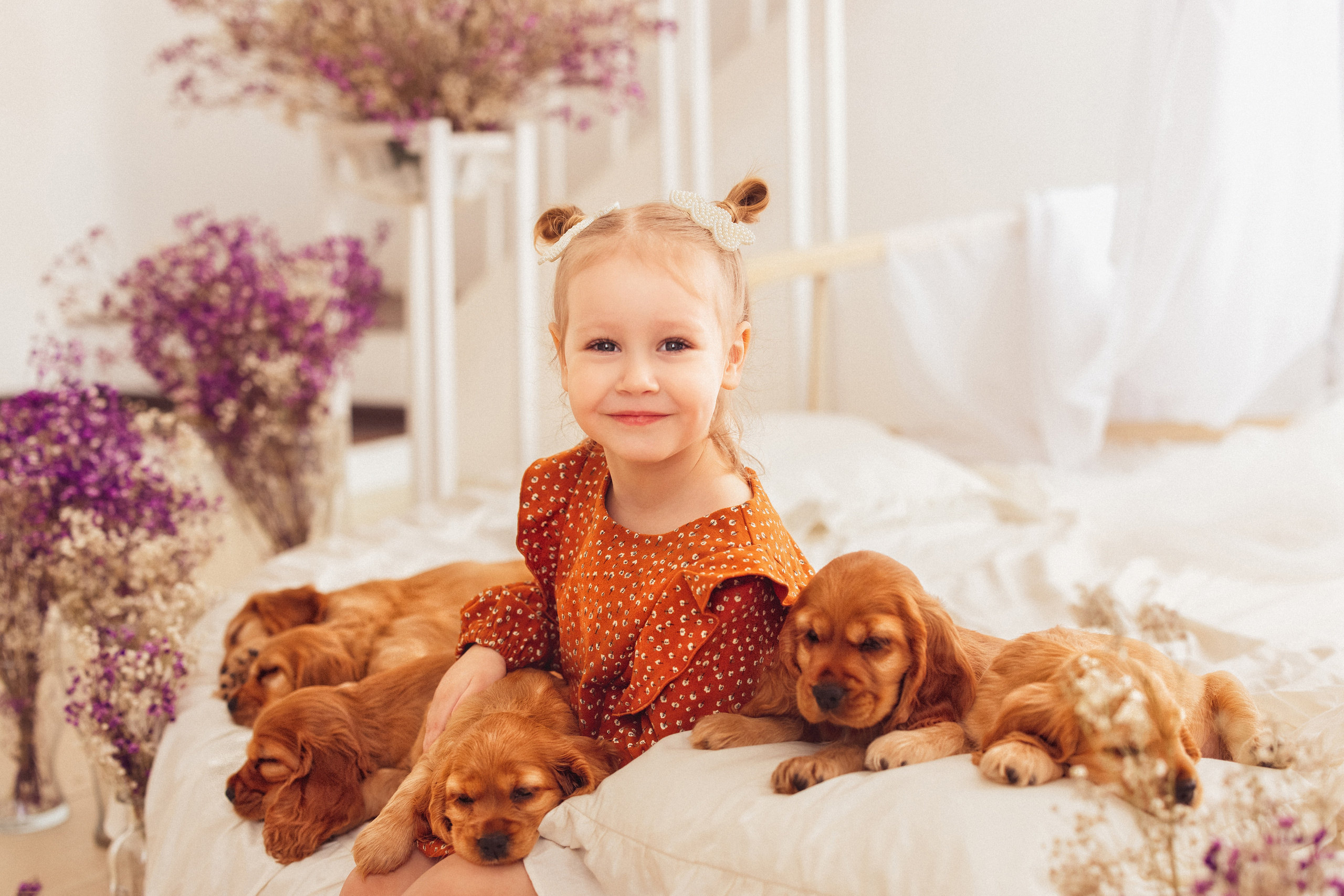 ЩЕНКИ (Кокер — спаниель). Семейный и детский фотограф в Краснодаре Анна Трашкова