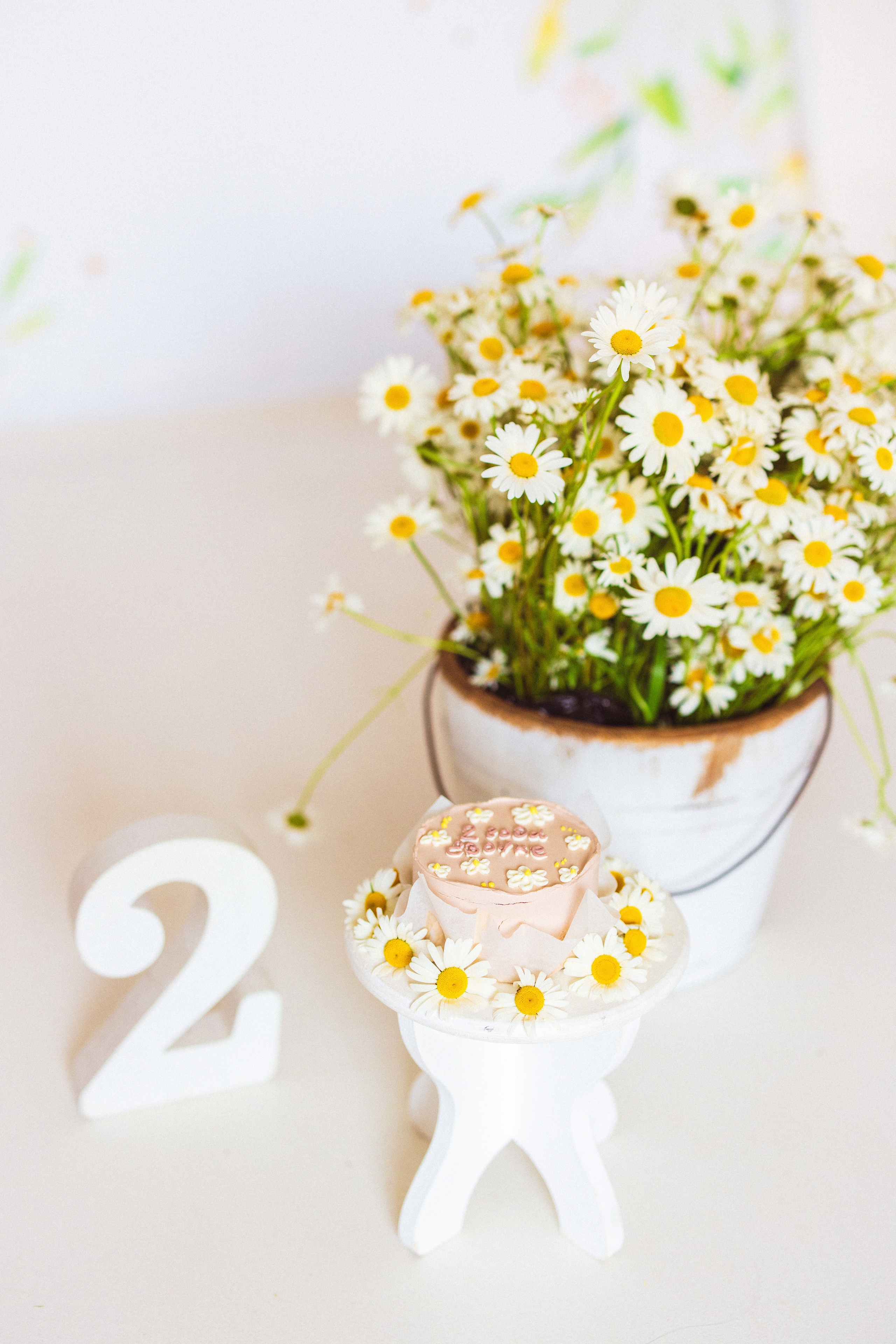 Ромашки, Фотостудия «АНТУРАЖ». Семейный и детский фотограф в Краснодаре Анна Трашкова