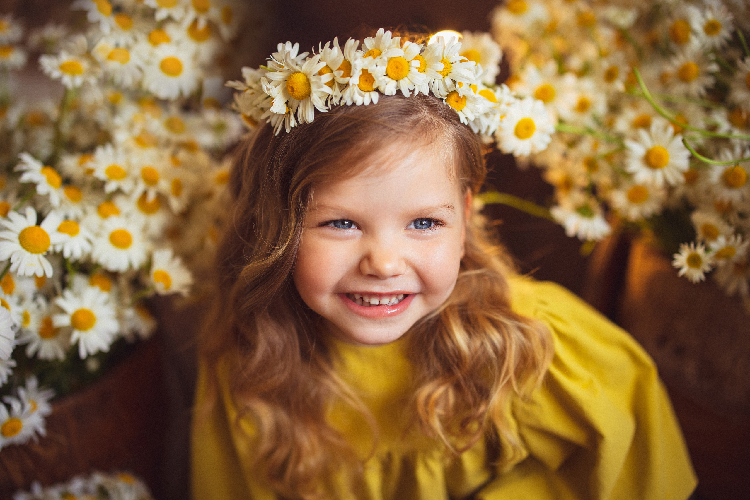 Ромашки, Фотостудия «АНТУРАЖ». Семейный и детский фотограф в Краснодаре Анна Трашкова