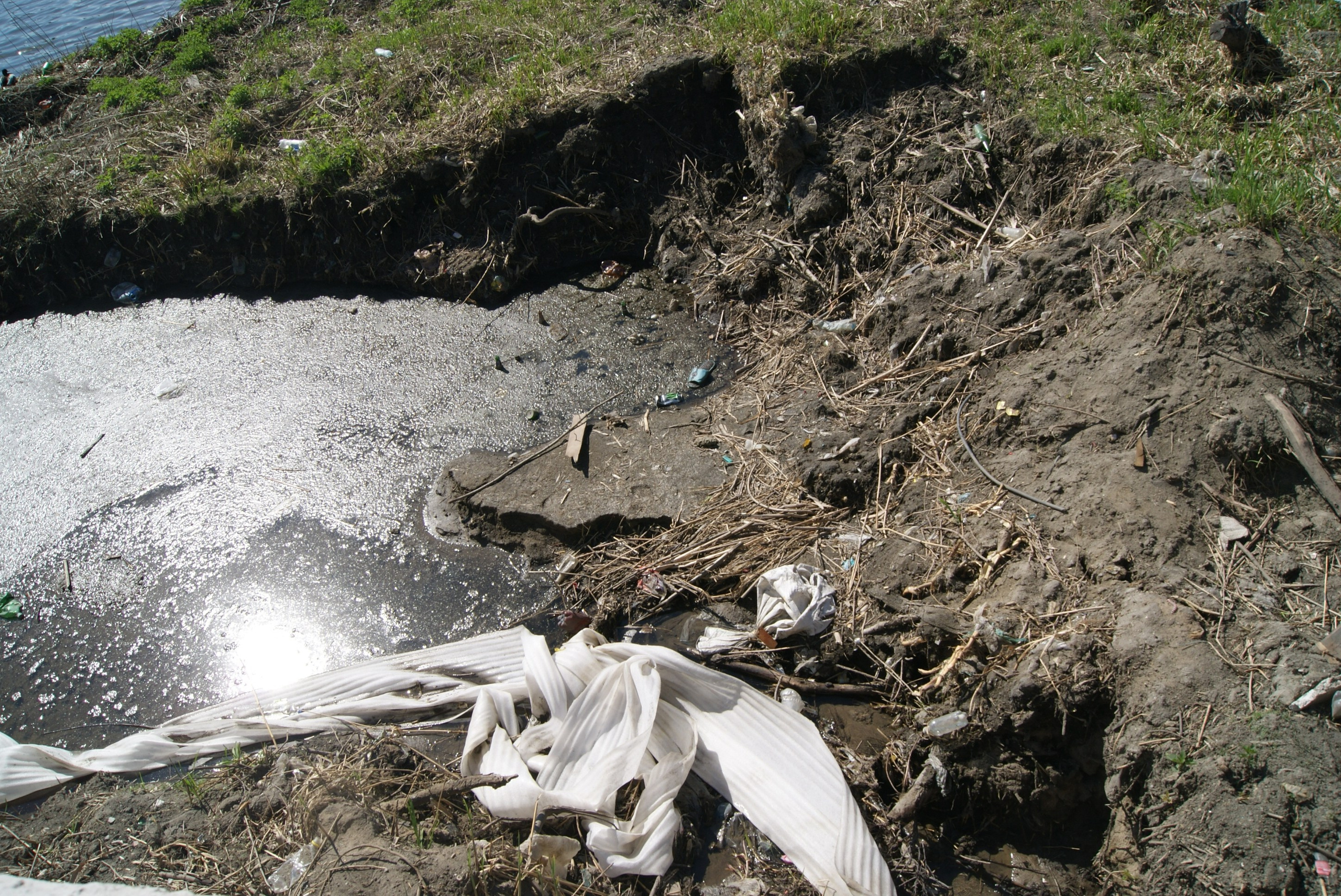 Между цирком и филармонией. Artist Oleg Semenovykh