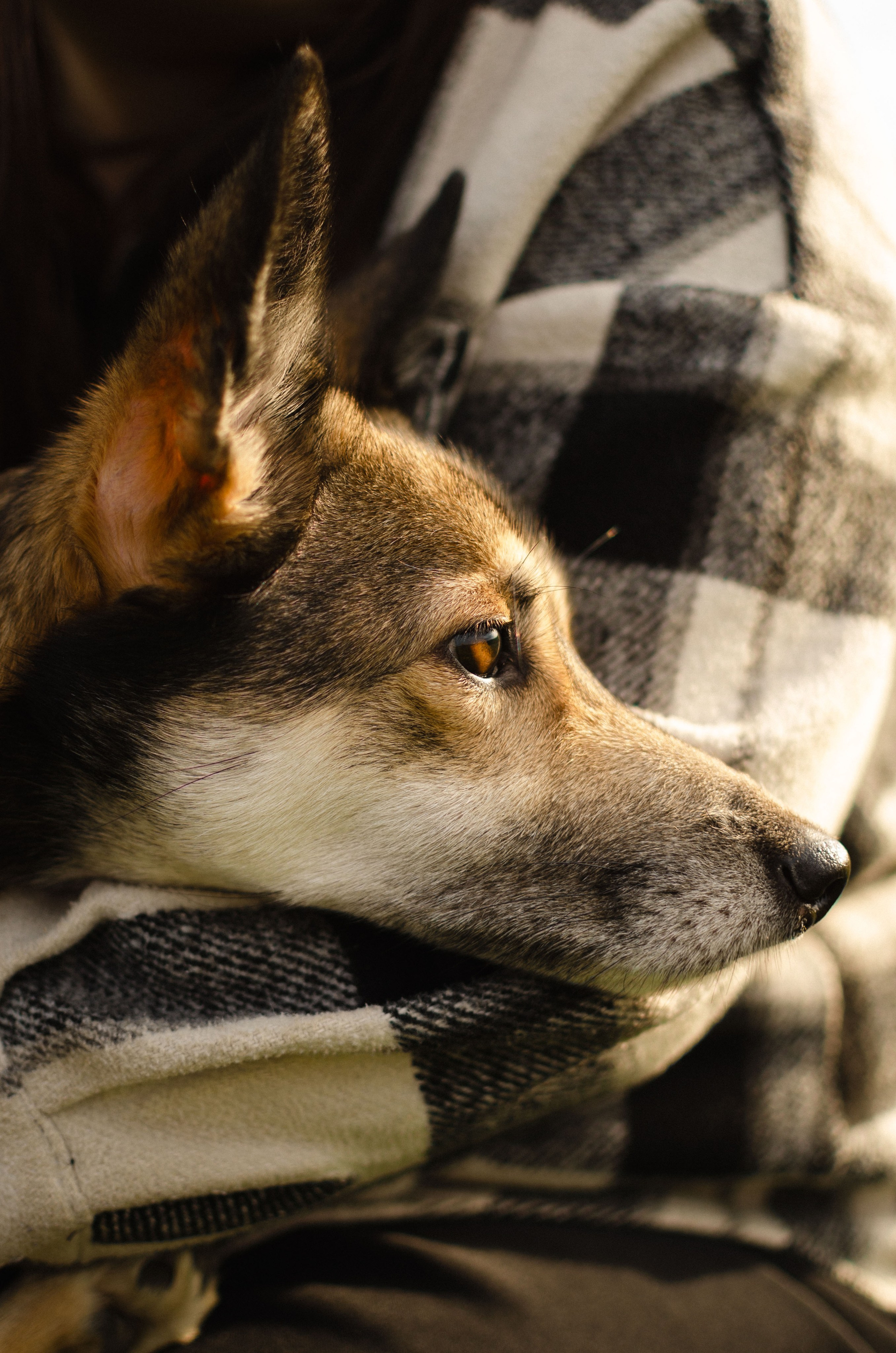 Полина & Ронни. Женский и предметный фотограф в Уфе Анастасия Настоечка